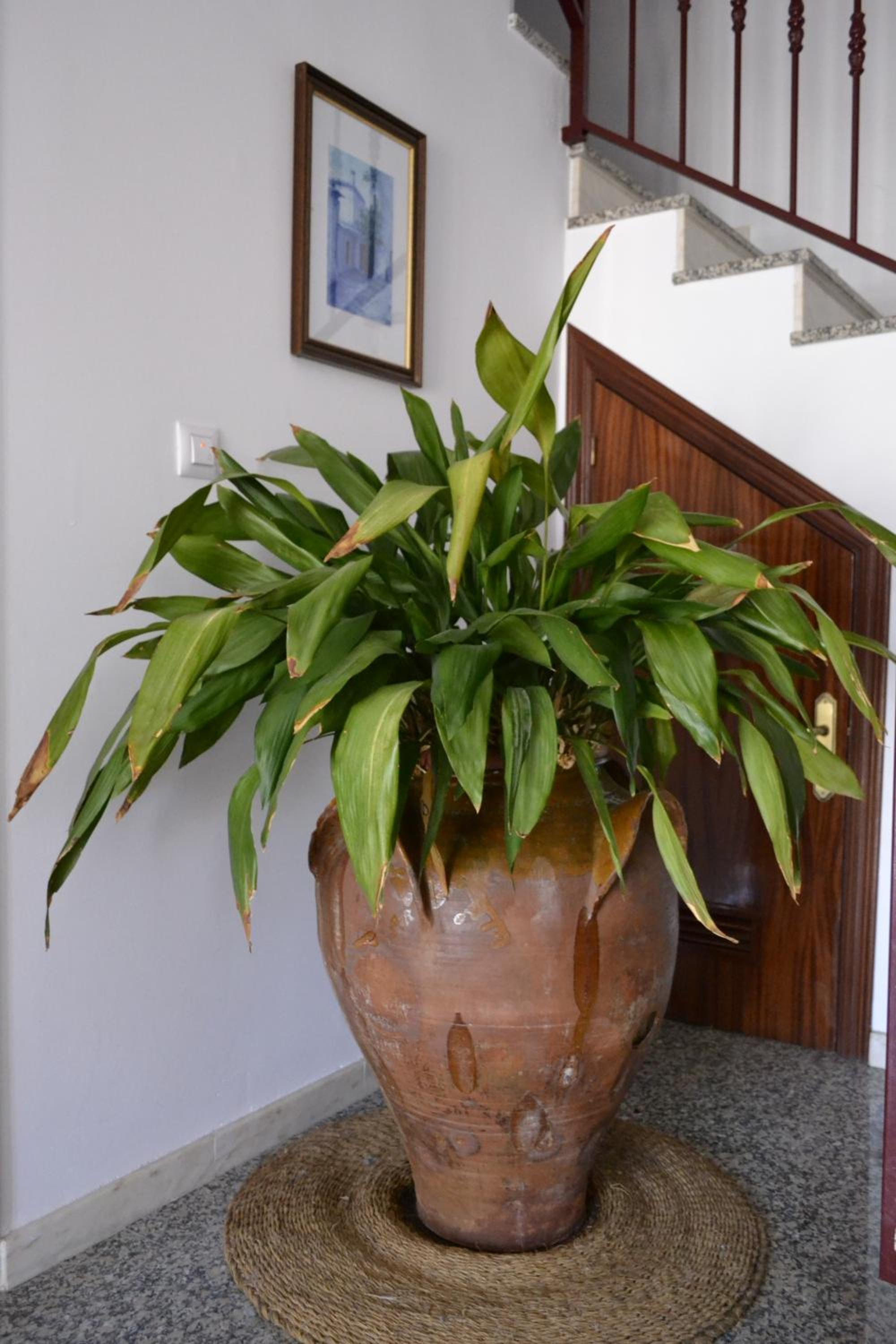 Apartamentos Rurales Parque view 3