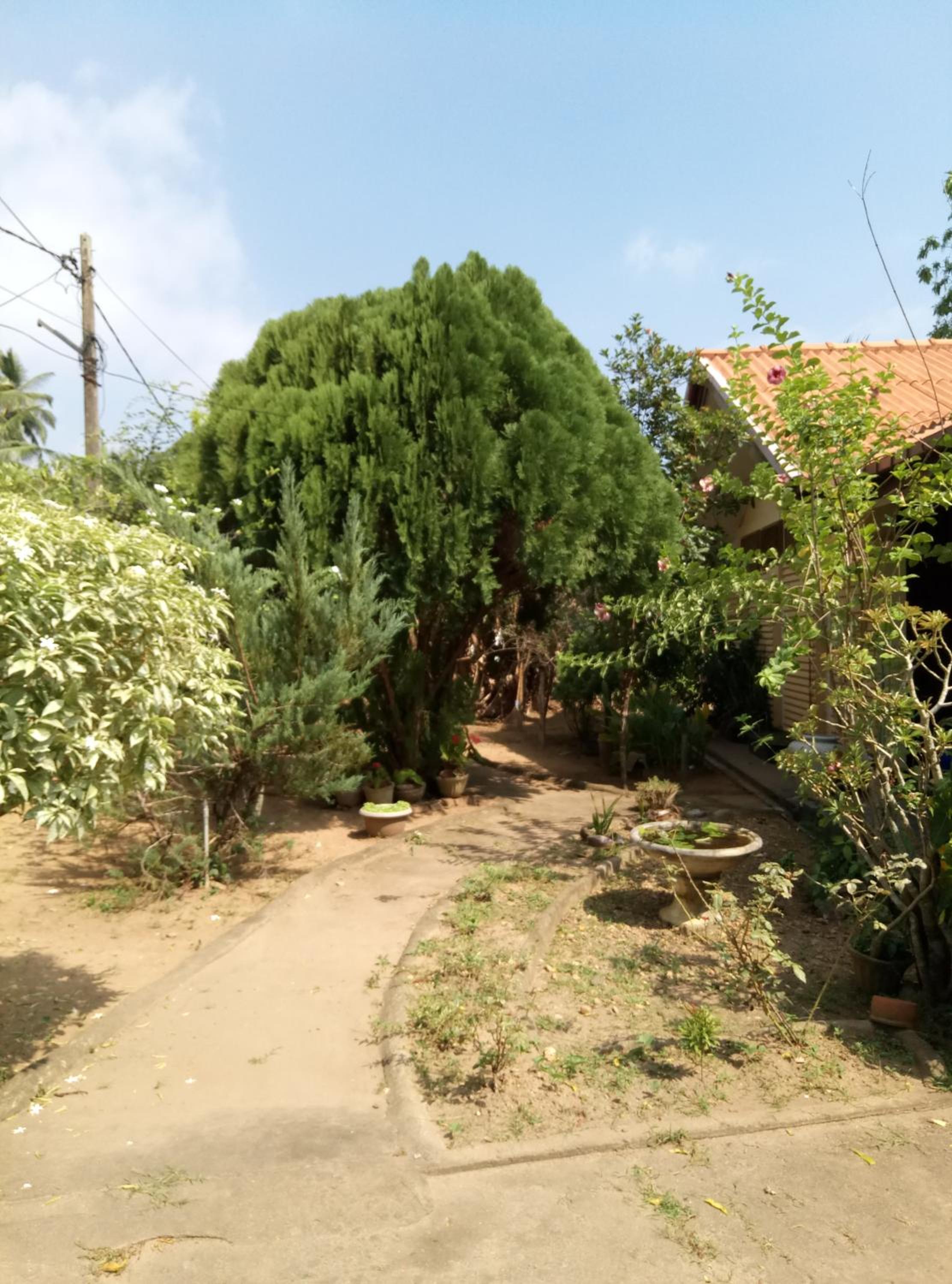 Photo 17
