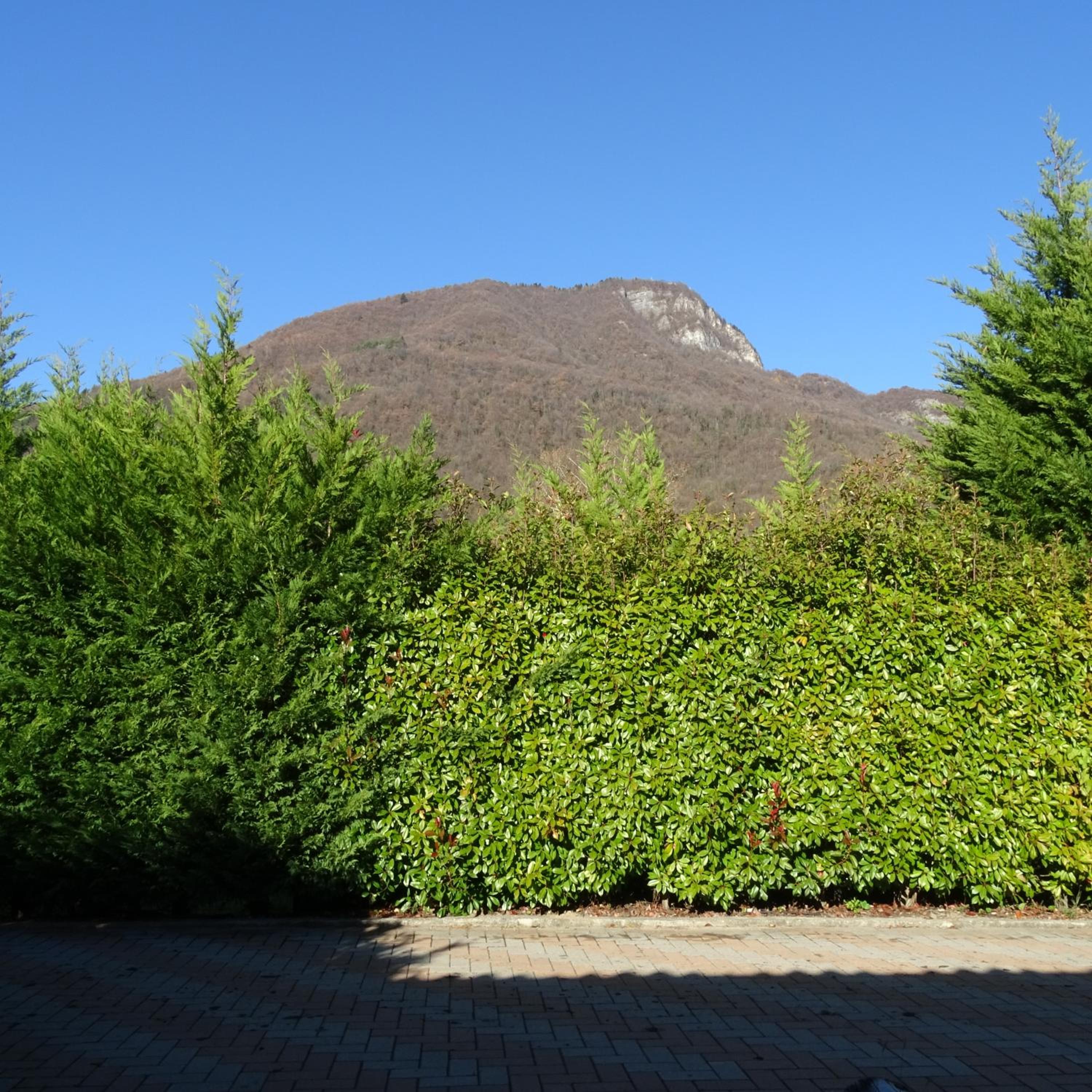 Photo 26