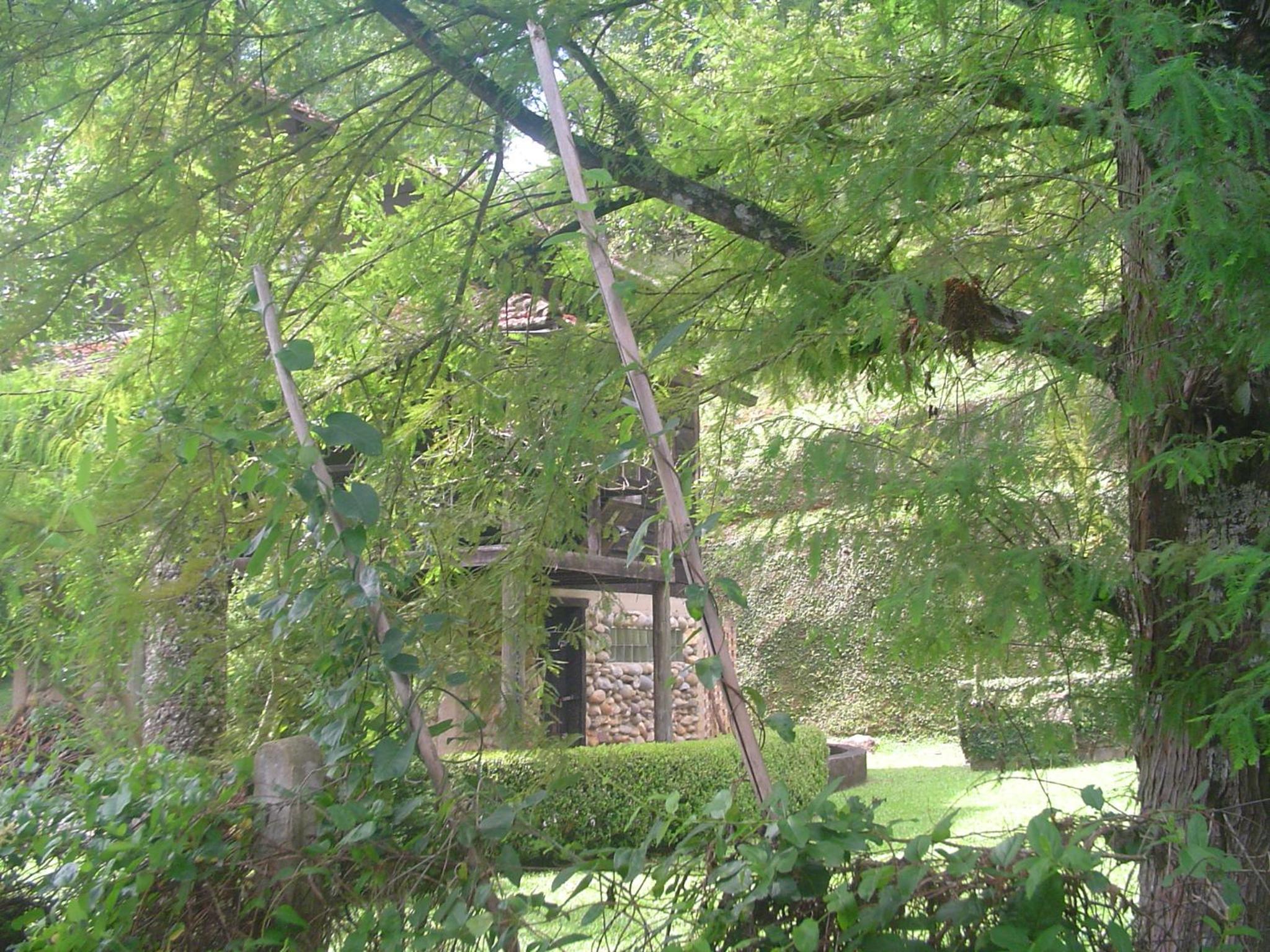 Photo 45