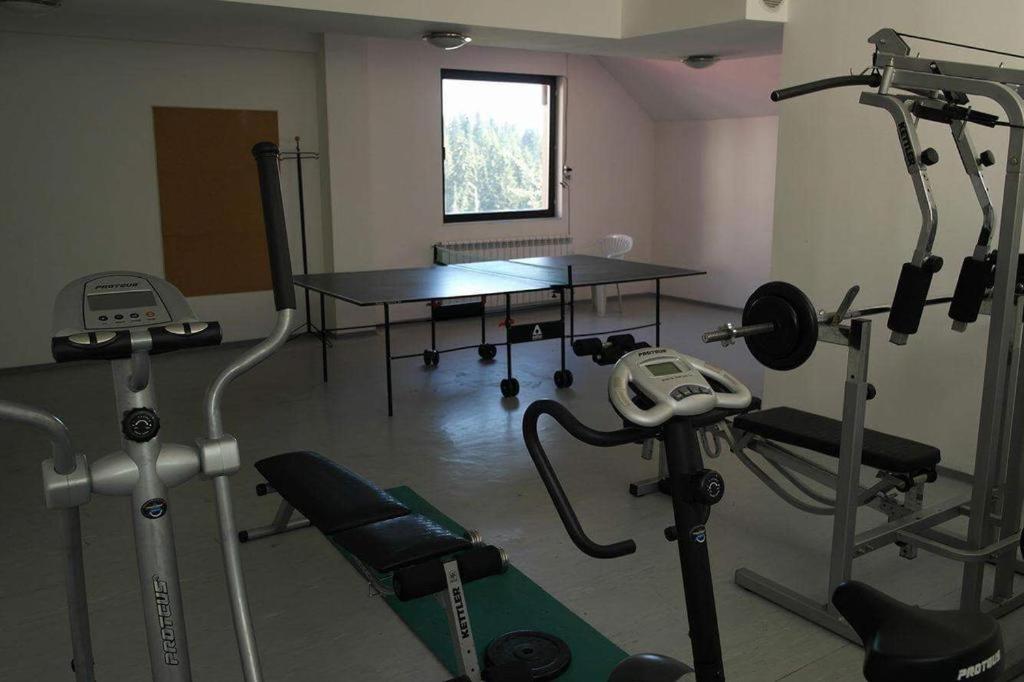Photo 11