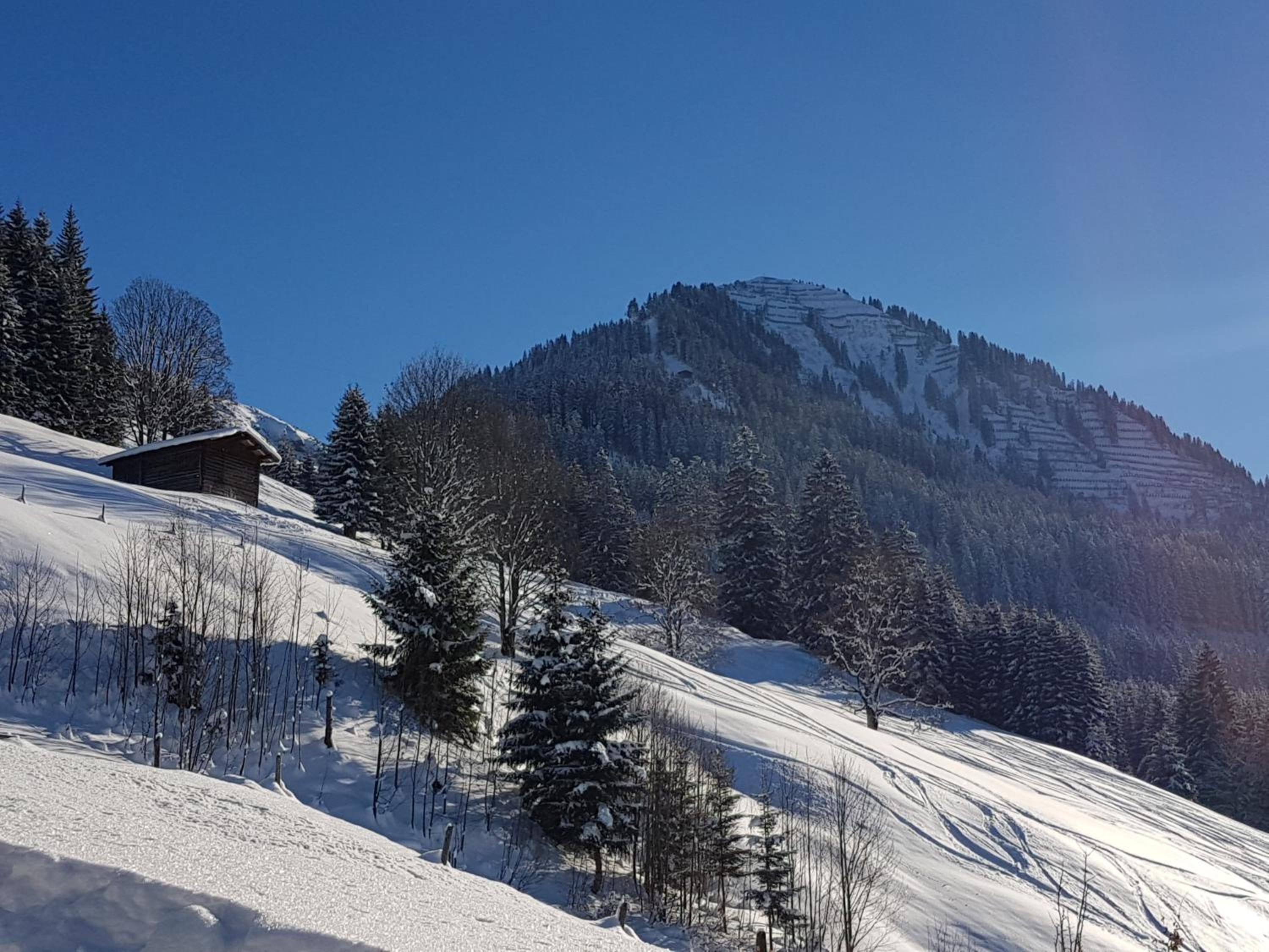 Haus Alpenglück