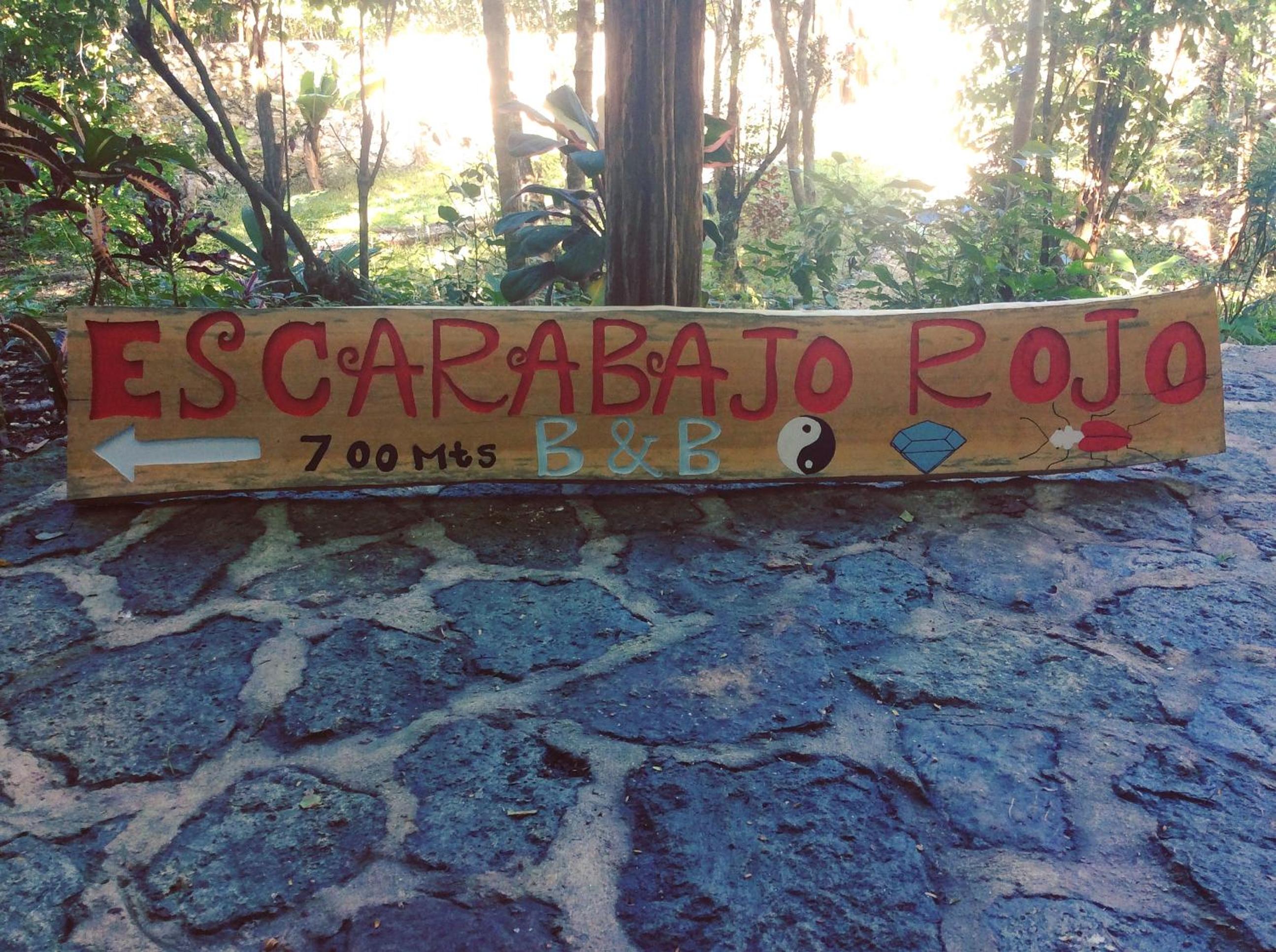 Escarabajo Rojo