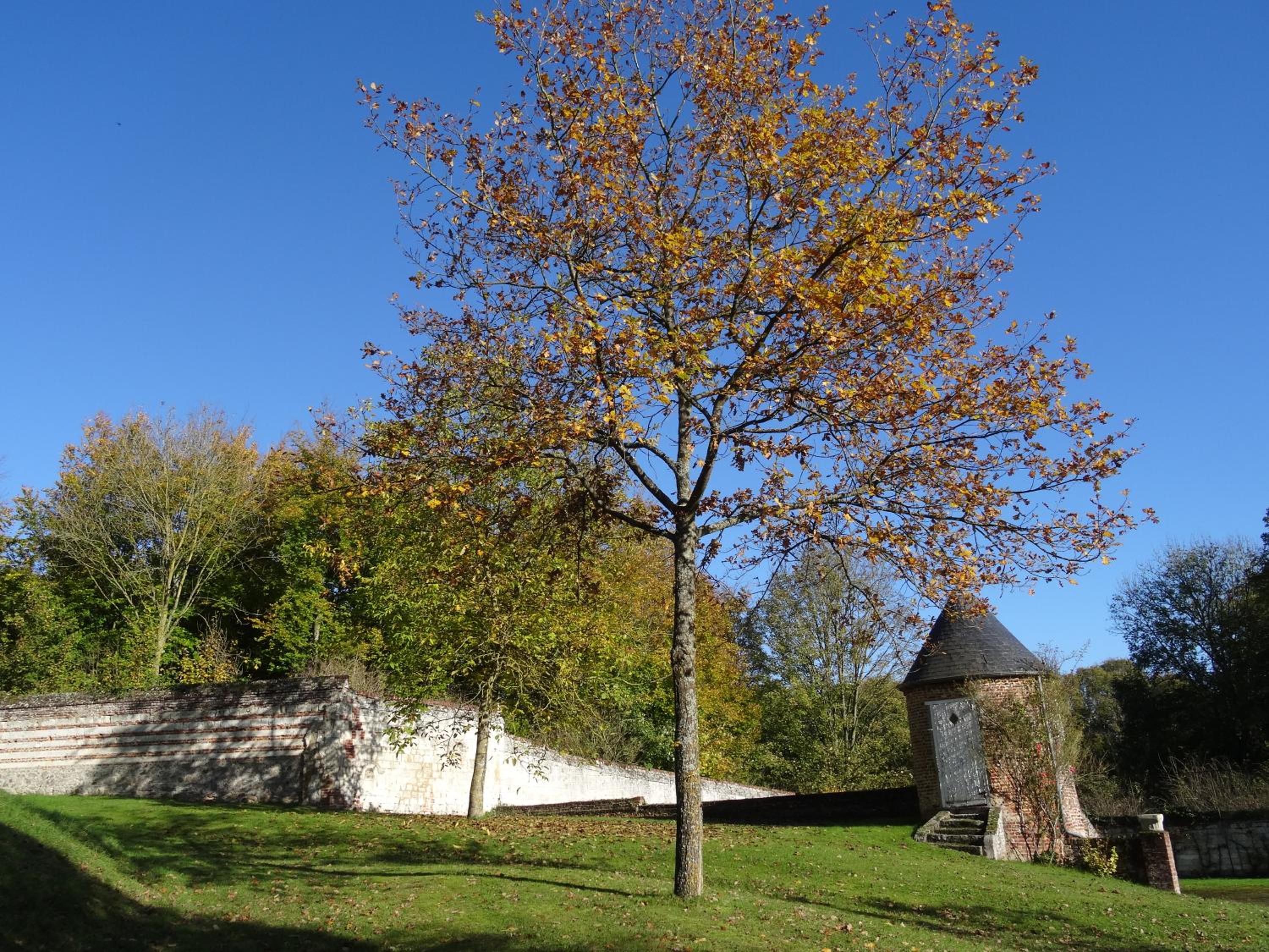 Photo 48