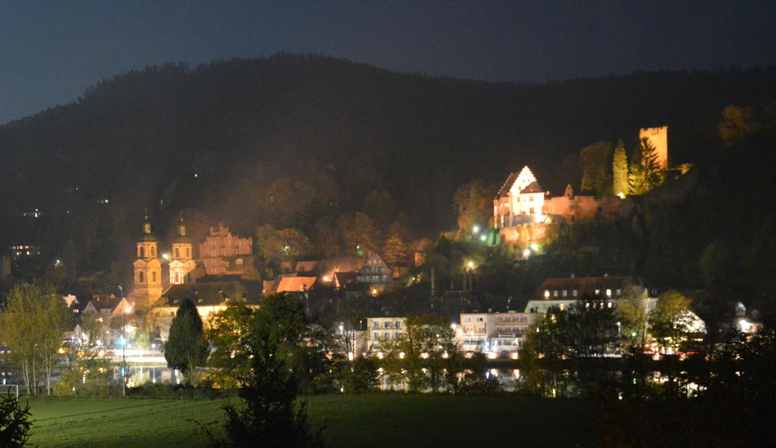 Panorama-Blick Miltenberg, 3 Pers., zentr., am Main, Terrasse, Bootverleih, P - Property Image 5