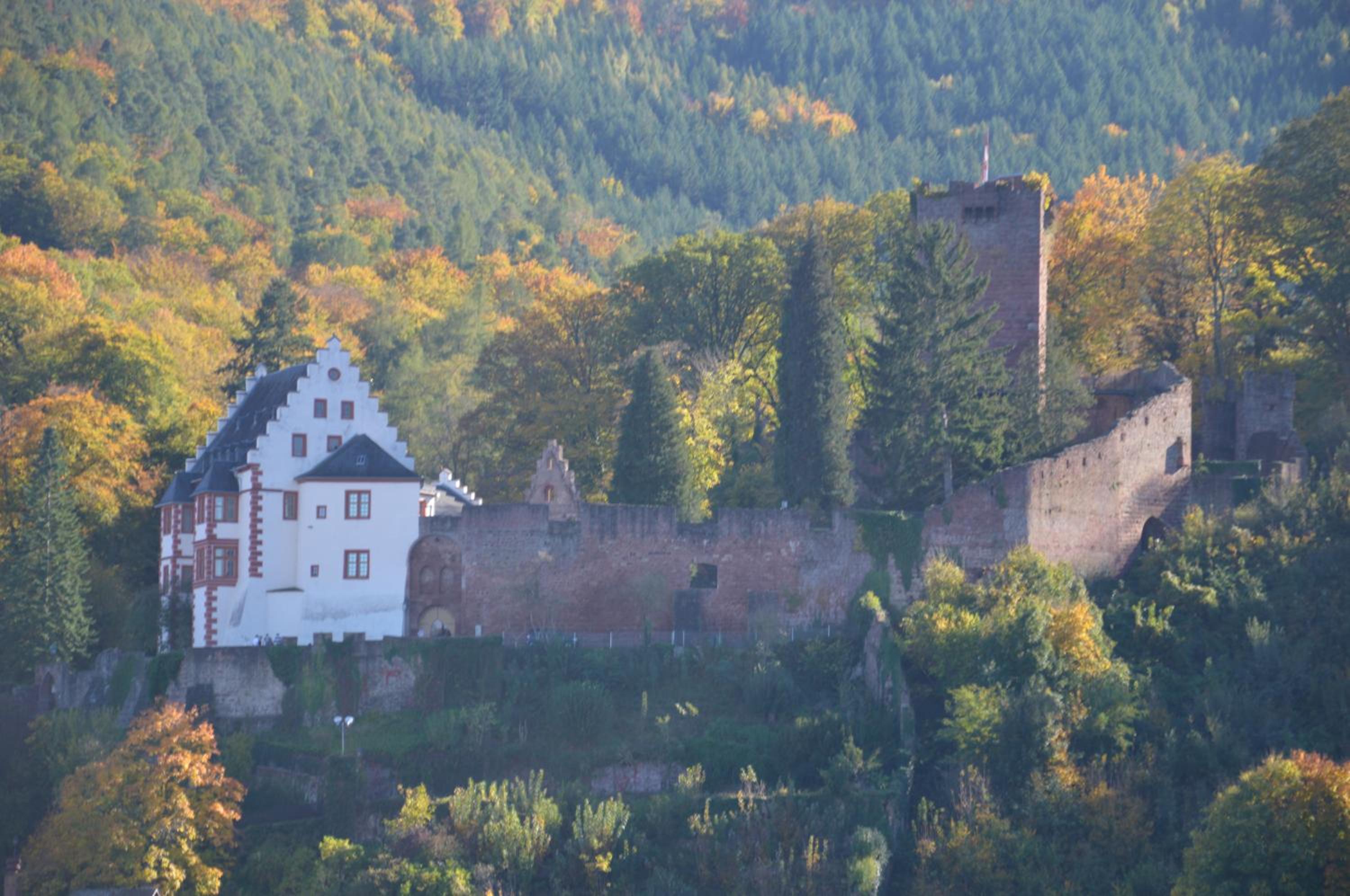 Panorama-Blick Miltenberg, 3 Pers., zentr., am Main, Terrasse, Bootverleih, P - Property Image 4