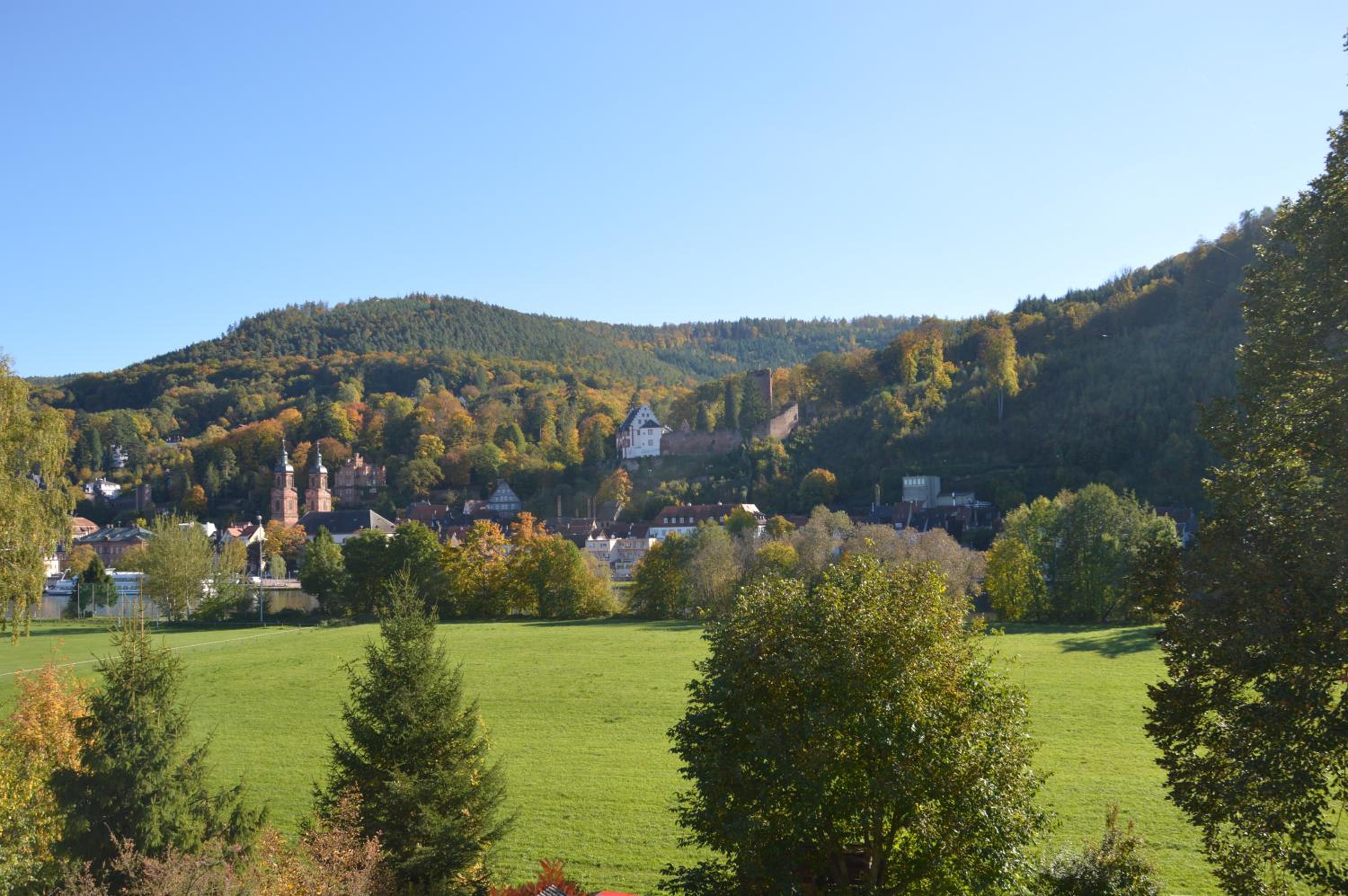 Panorama-Blick Miltenberg, 3 Pers., zentr., am Main, Terrasse, Bootverleih, P - Property Image 3
