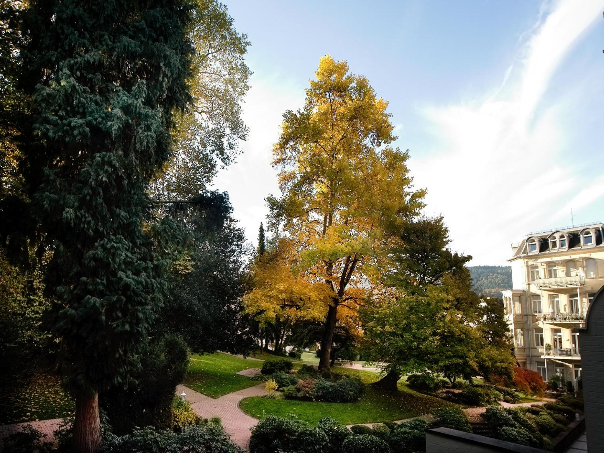 Royal Apartment City Center Baden-Baden