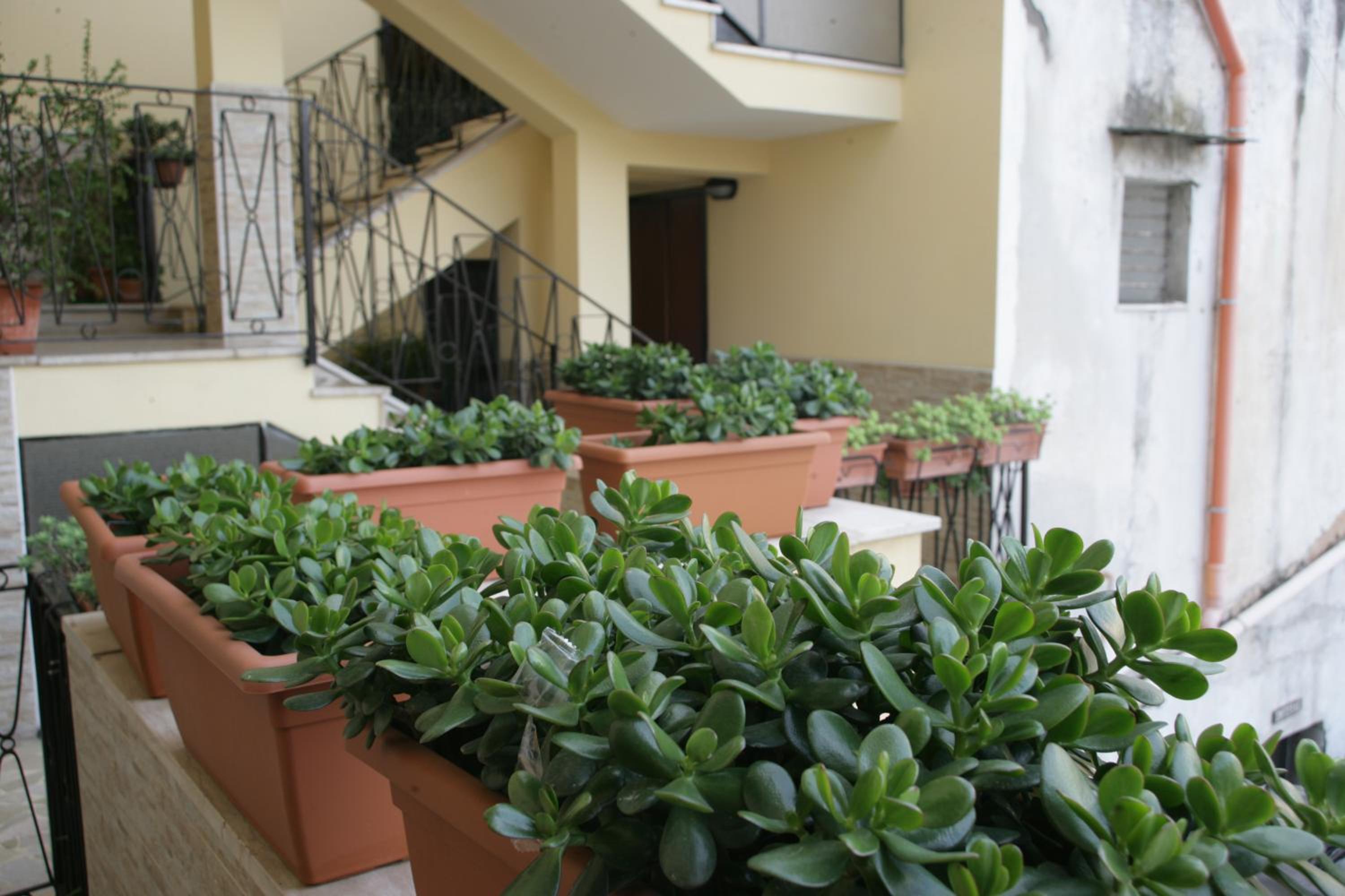 Casa Carmen