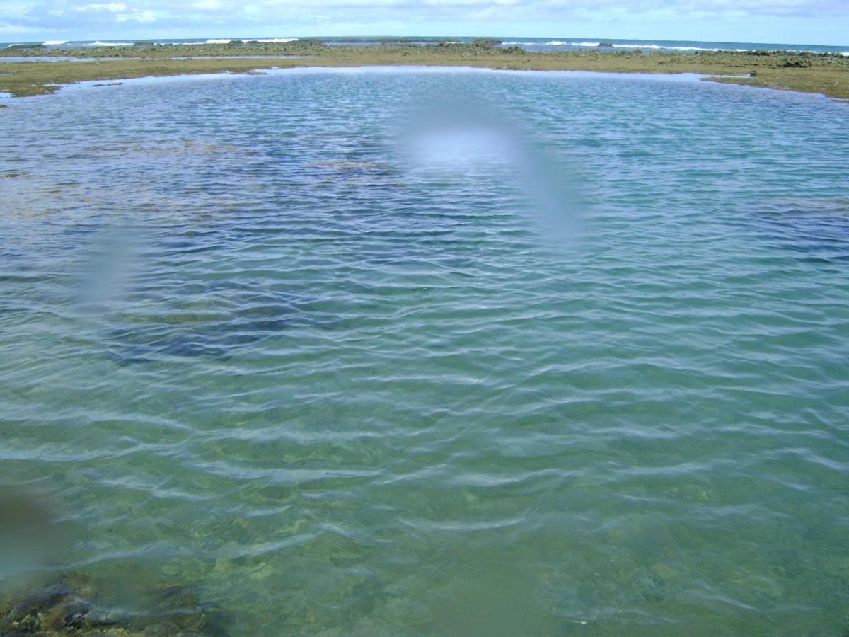 Photo 33