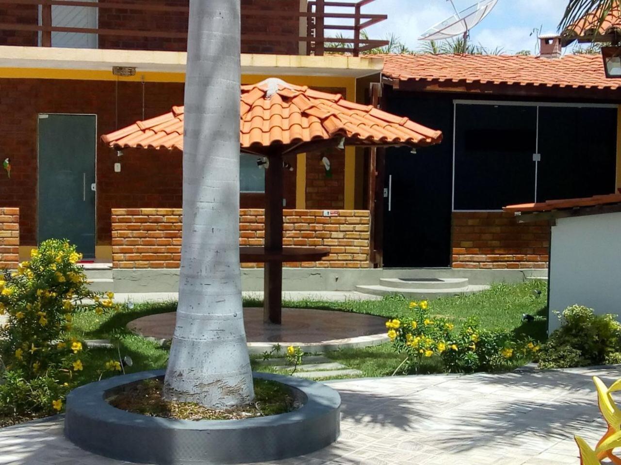 Photo 41