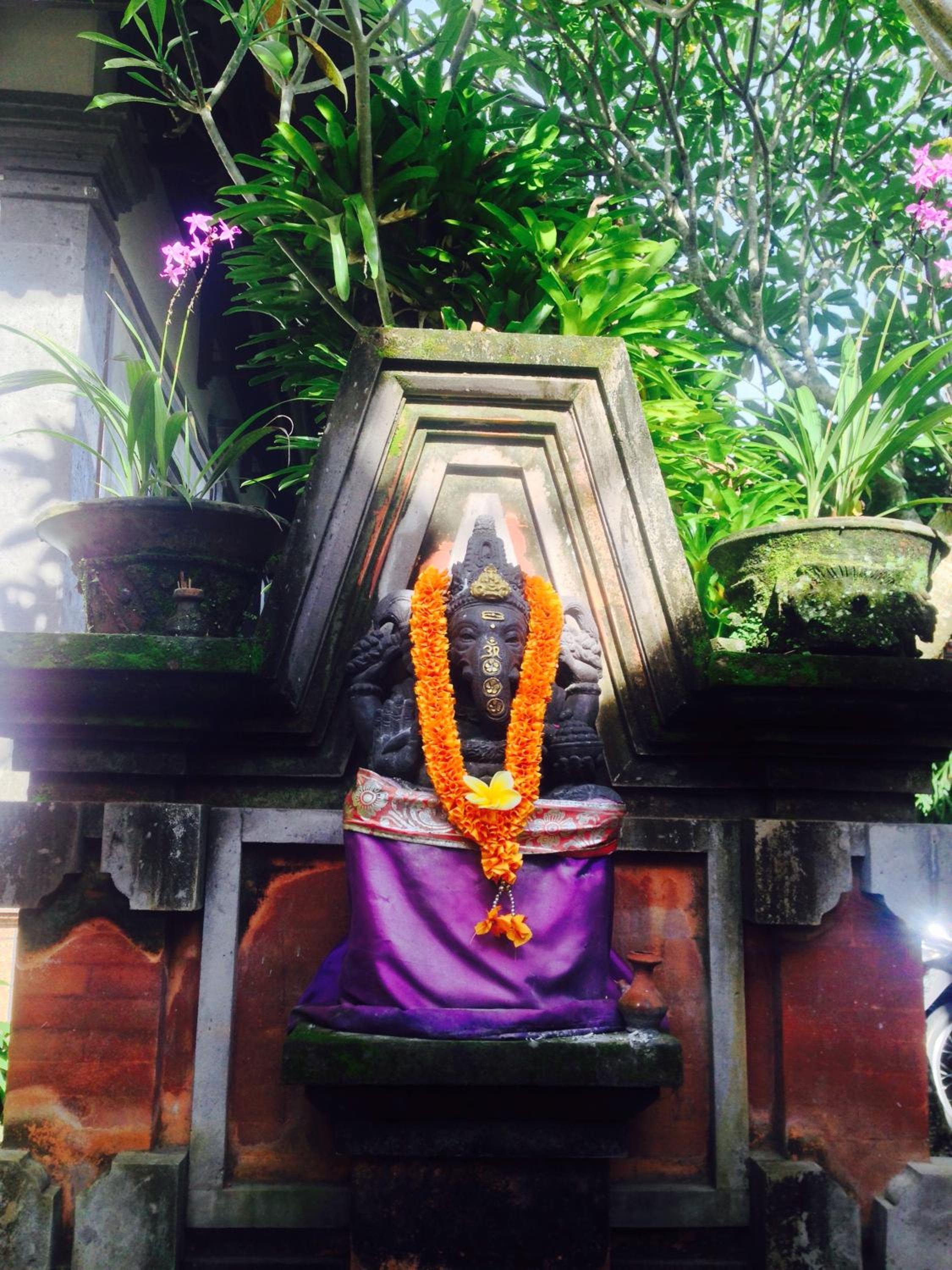 Wina Ubud B&B