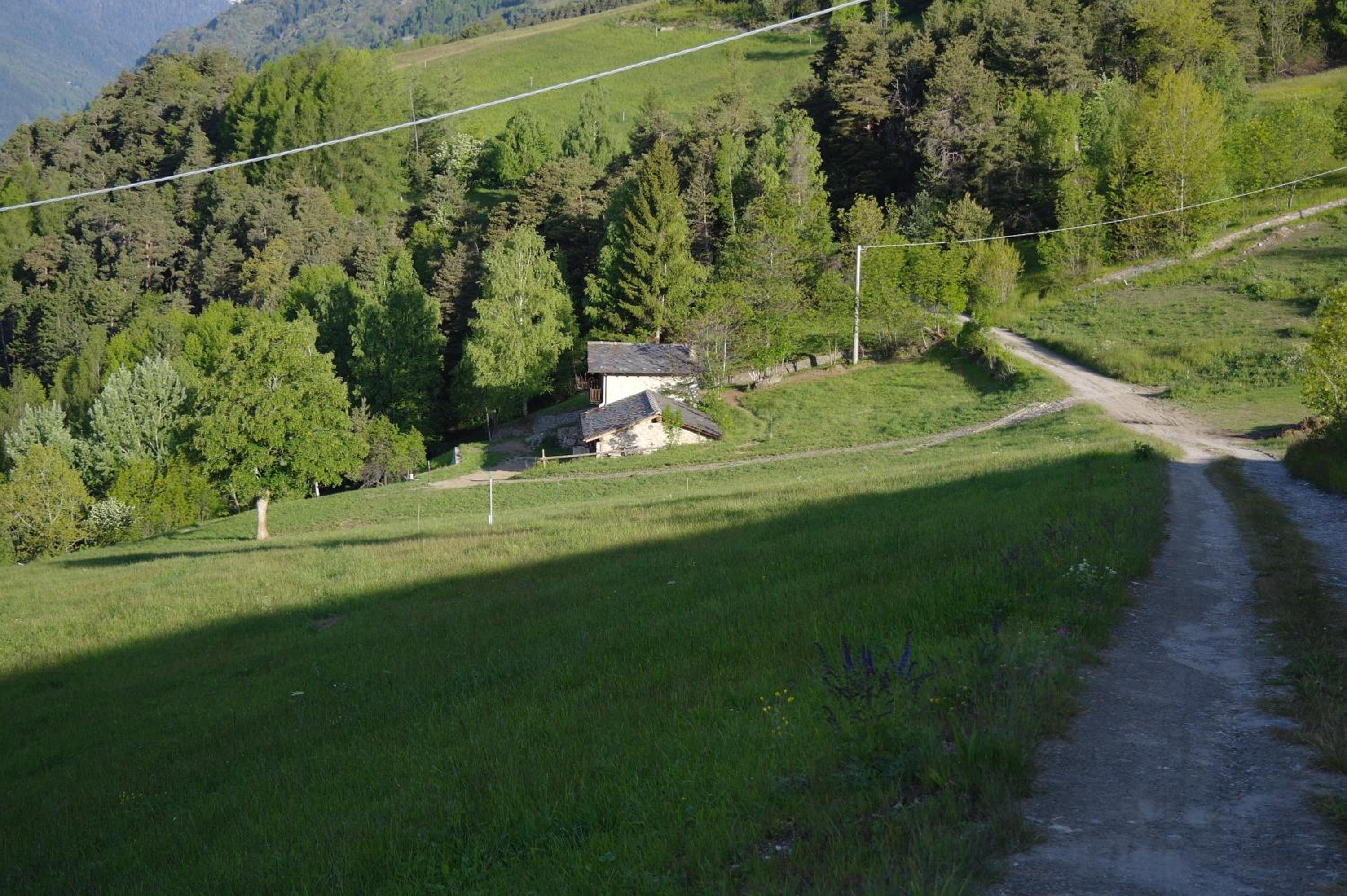 Photo 6