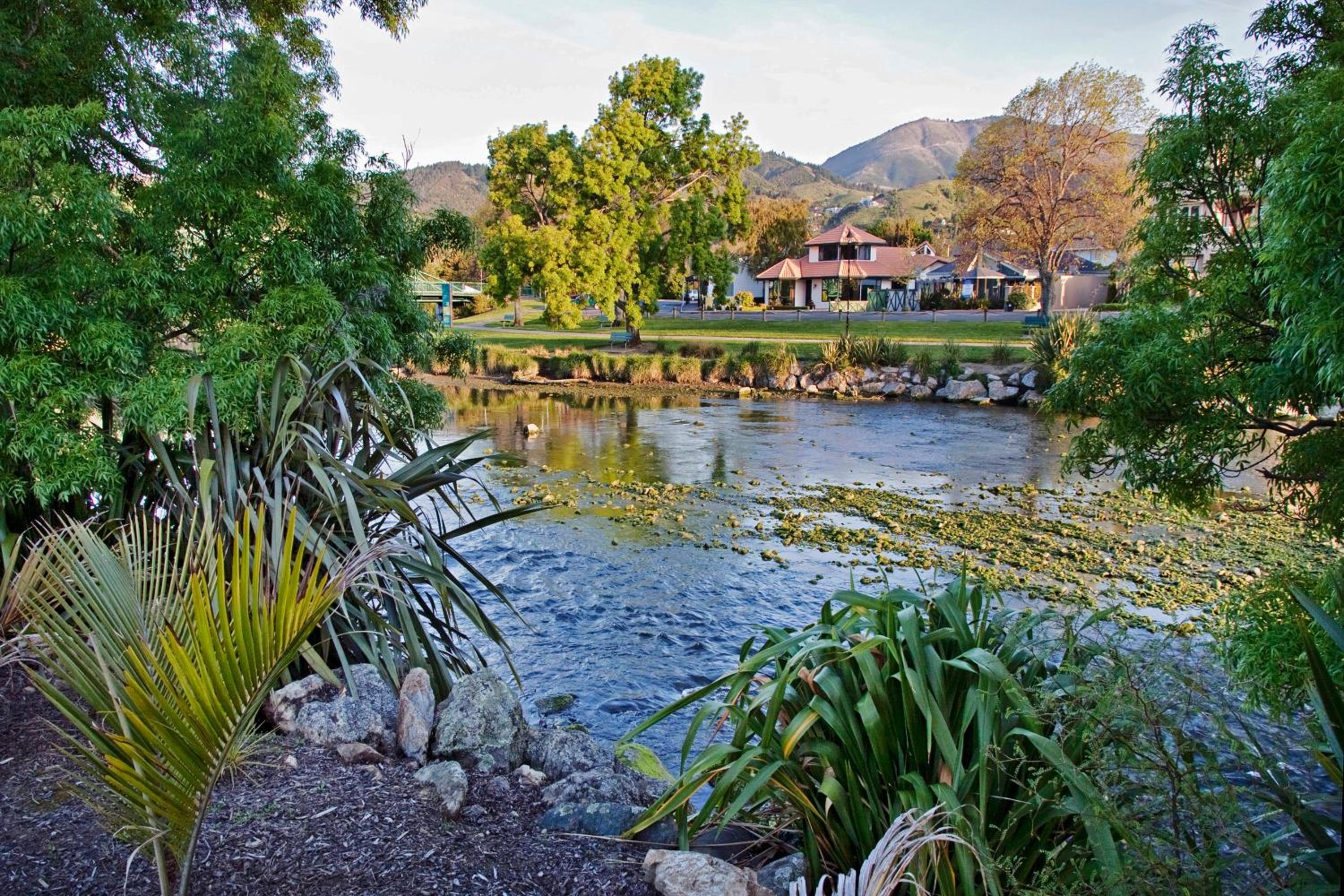 Riverside Villa - In the City by the River!