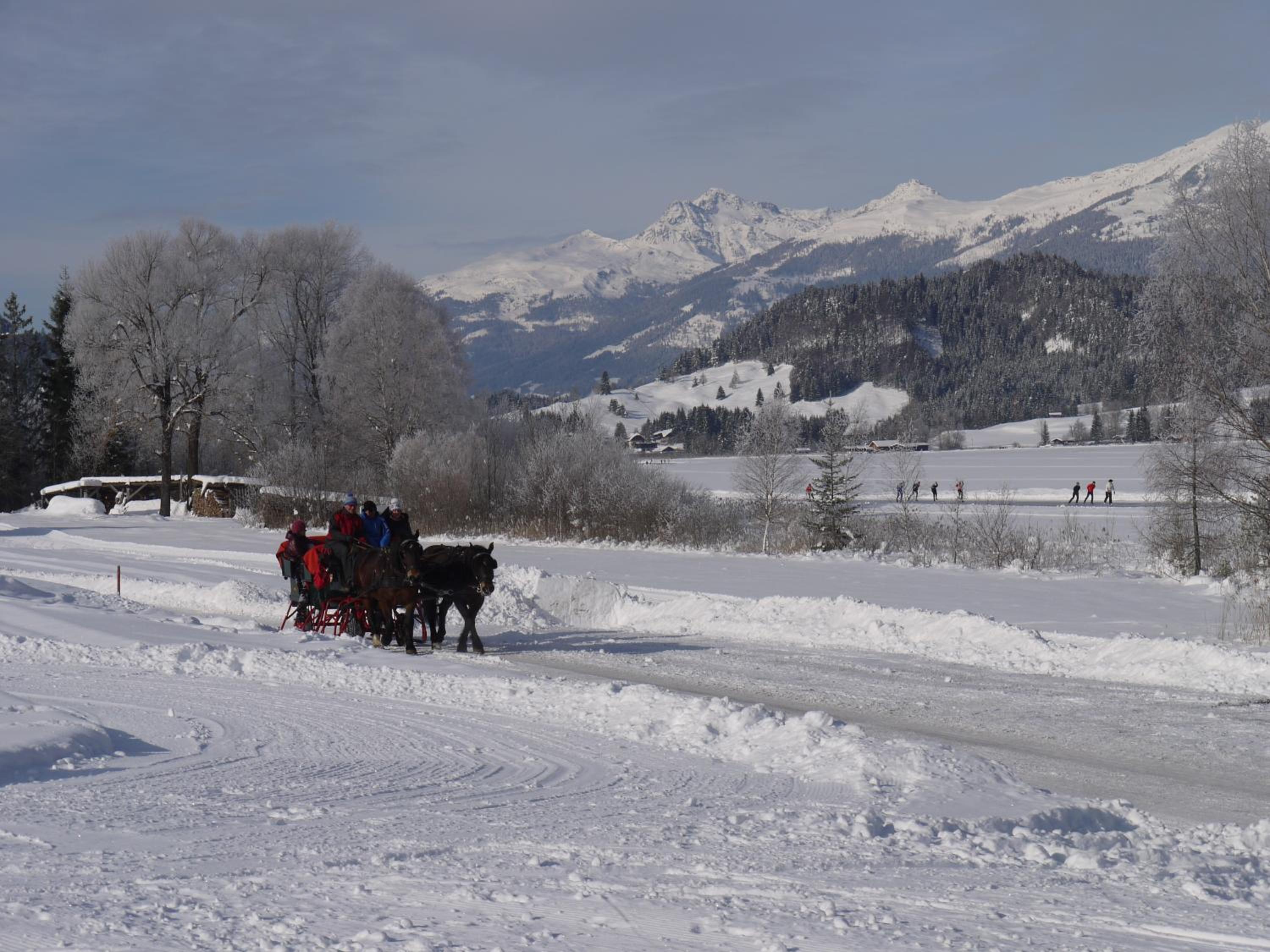 Pension Haus Edelweiss