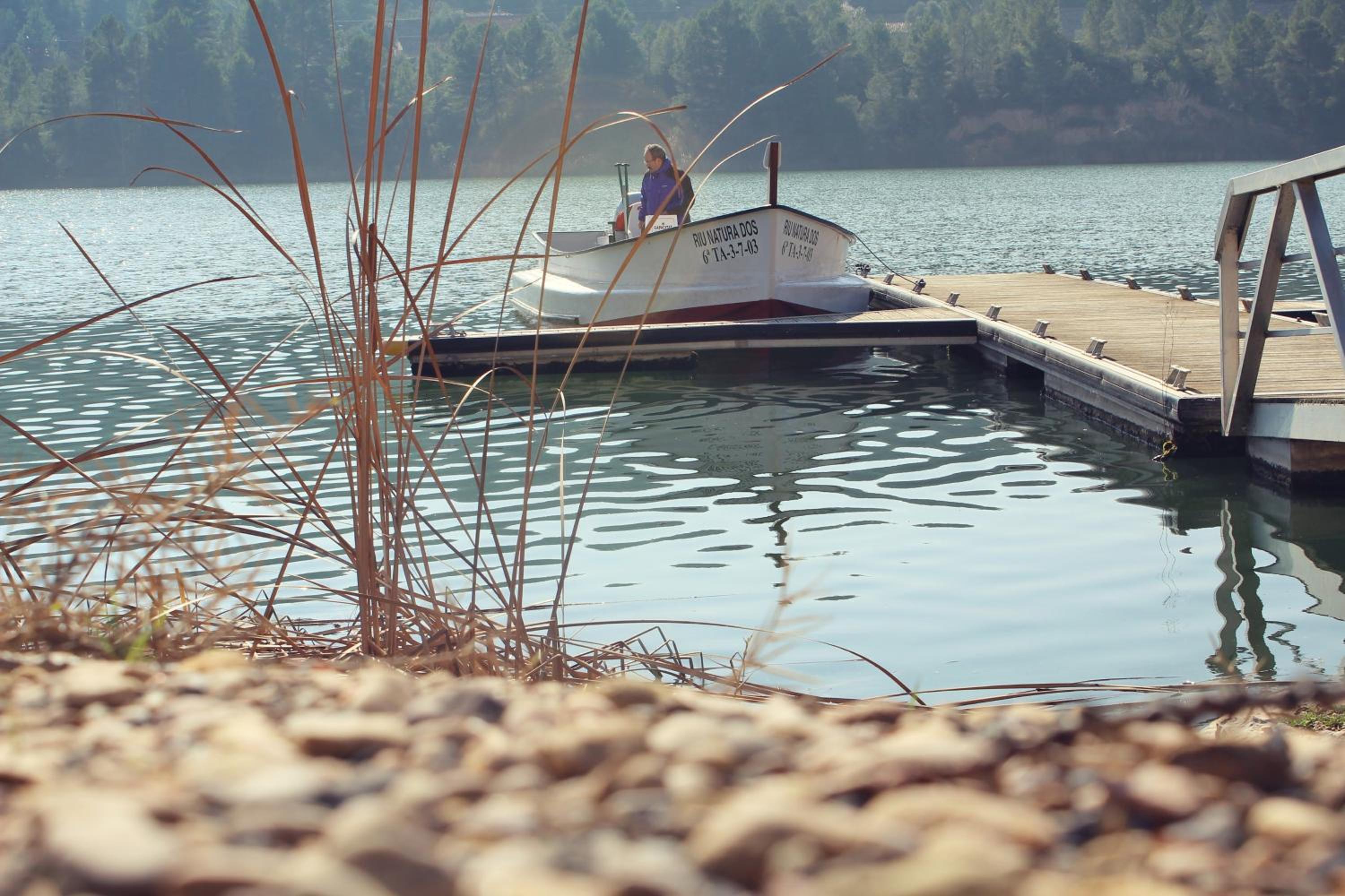 Camping Fayón Fishing