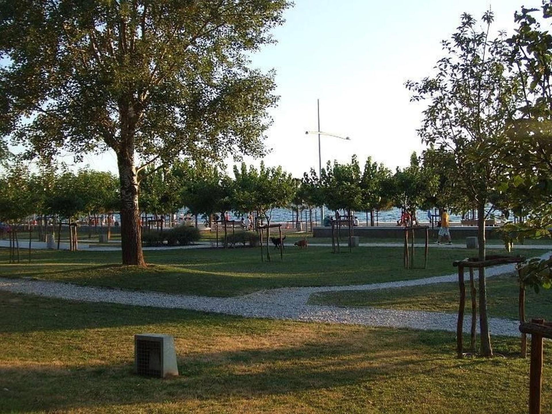 Photo 20
