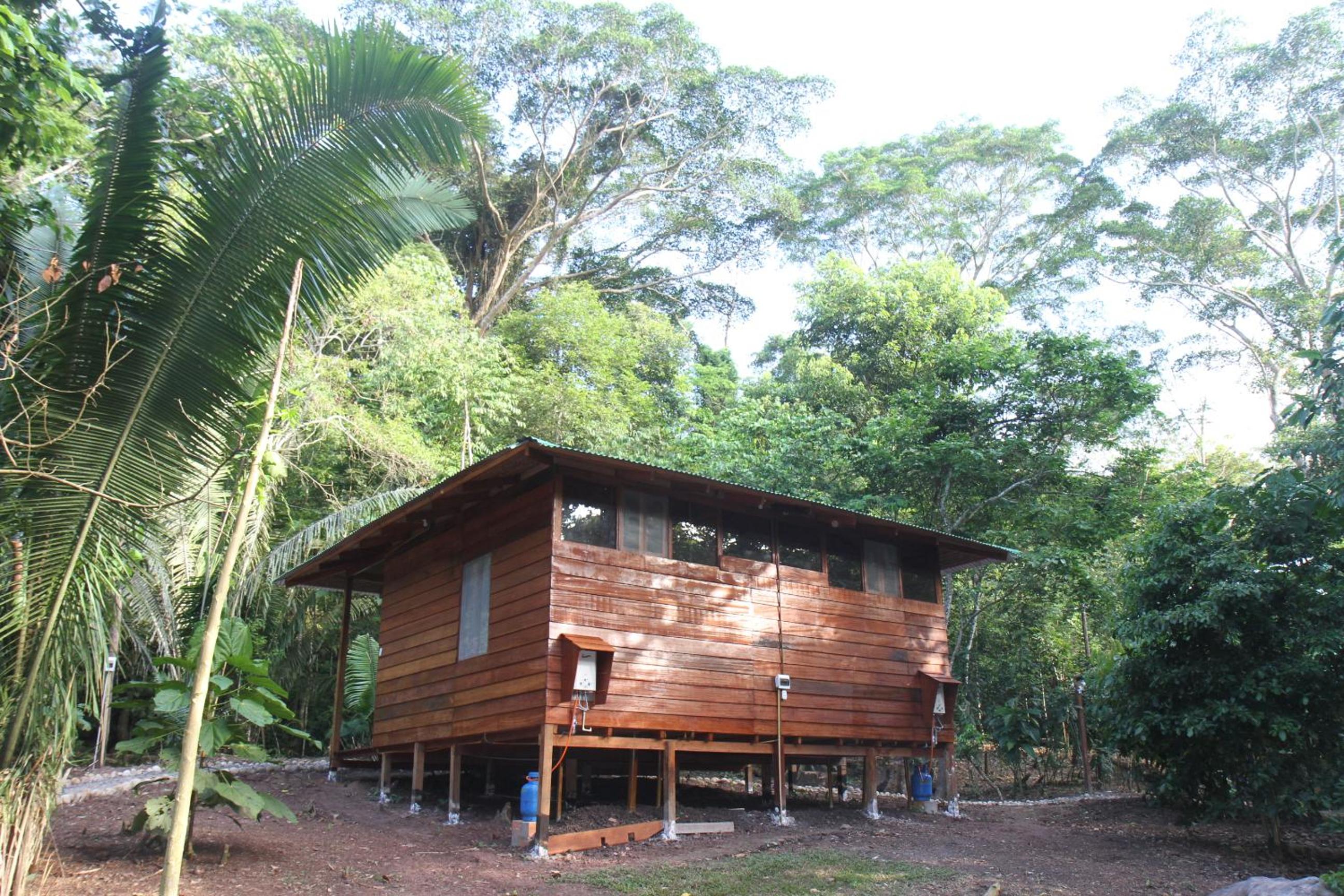 La Musa Verde