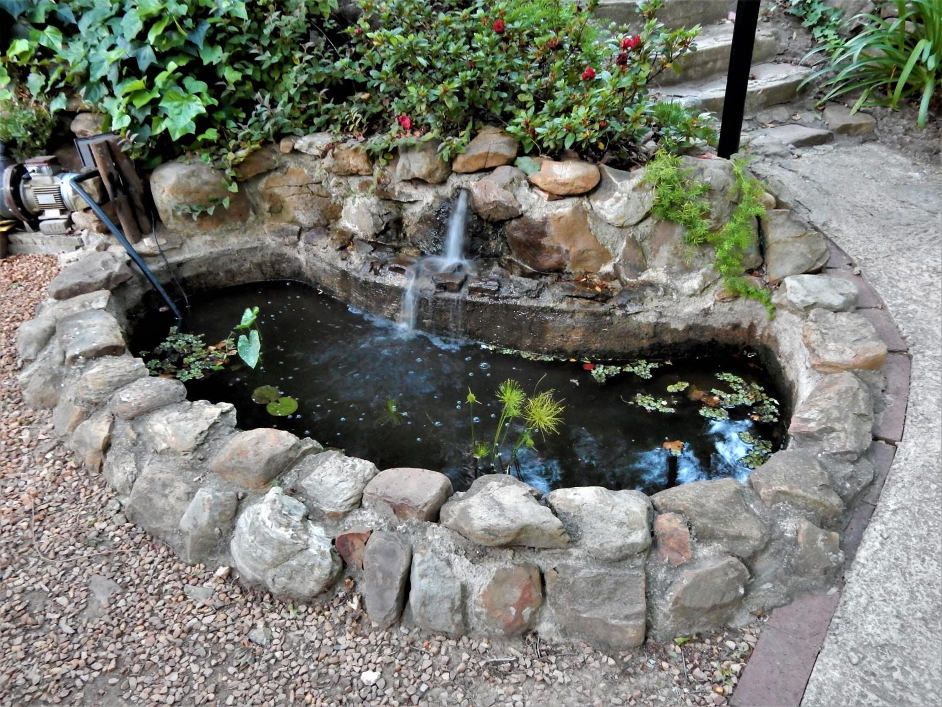 Photo 42