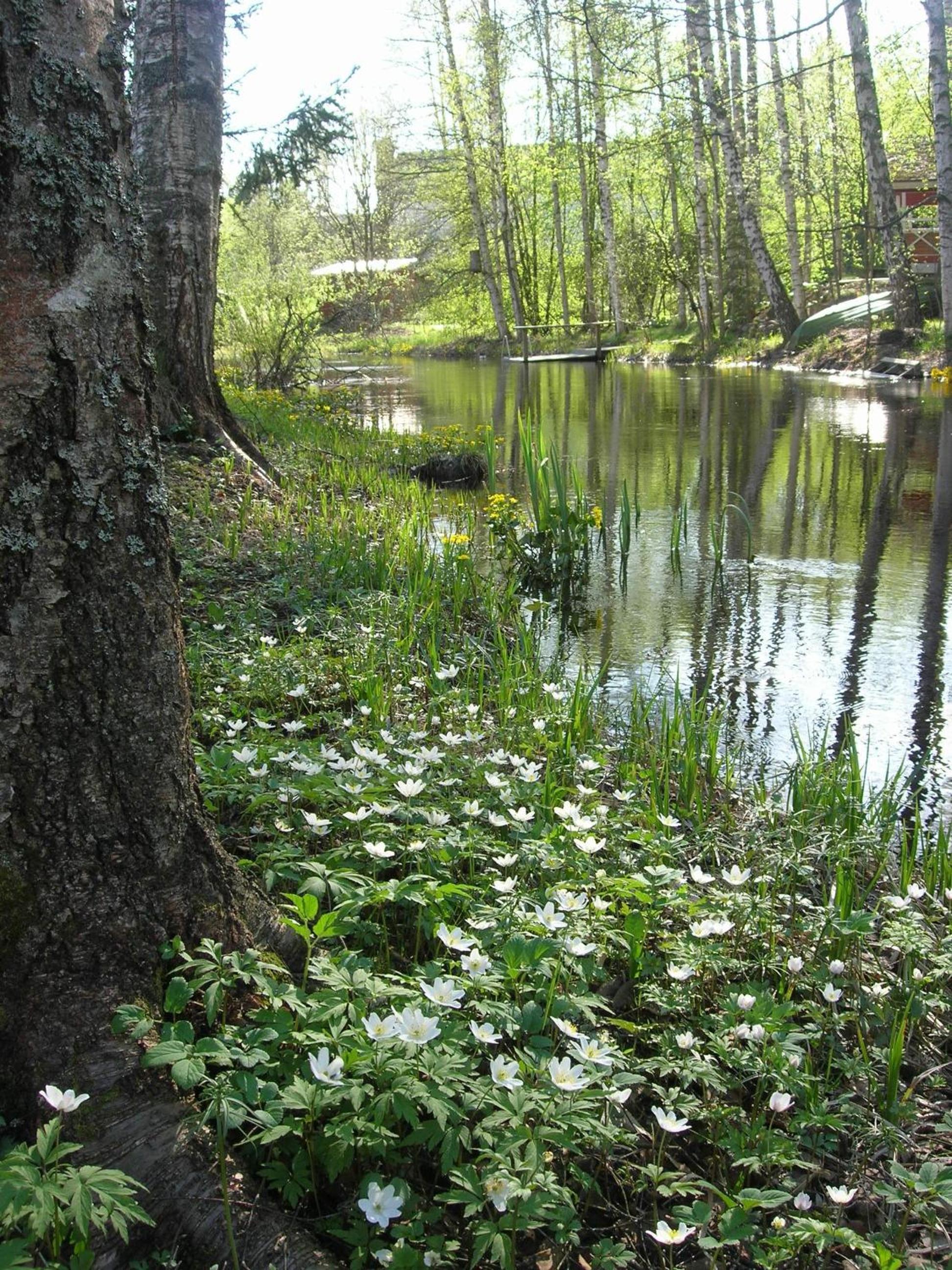Photo 13