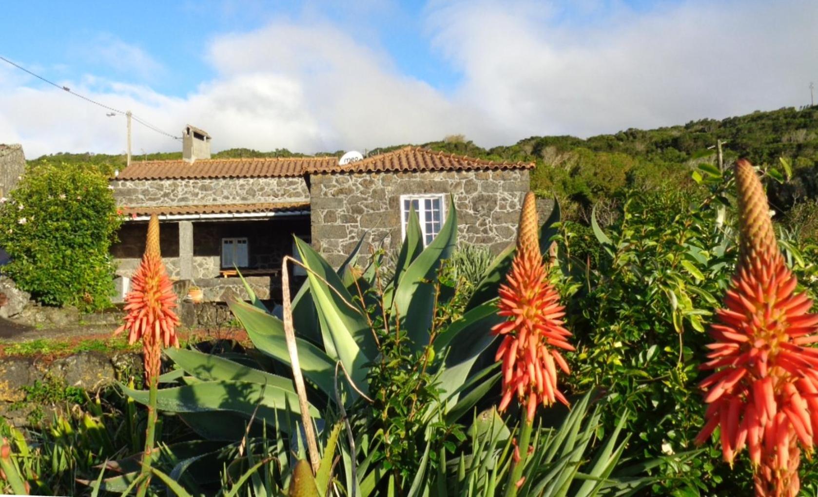 Casa do Bernardo view 2
