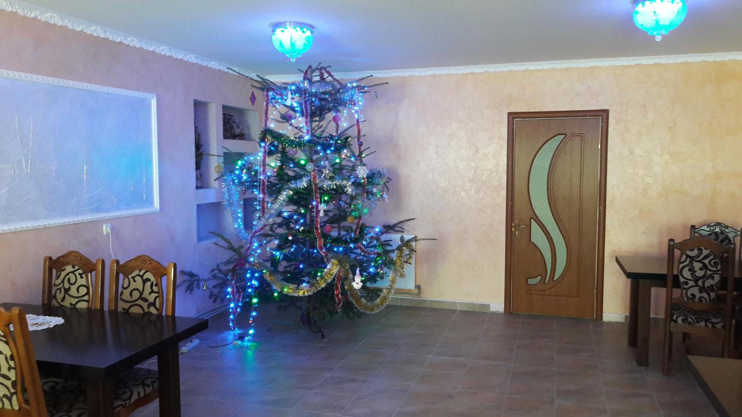 Photo 41