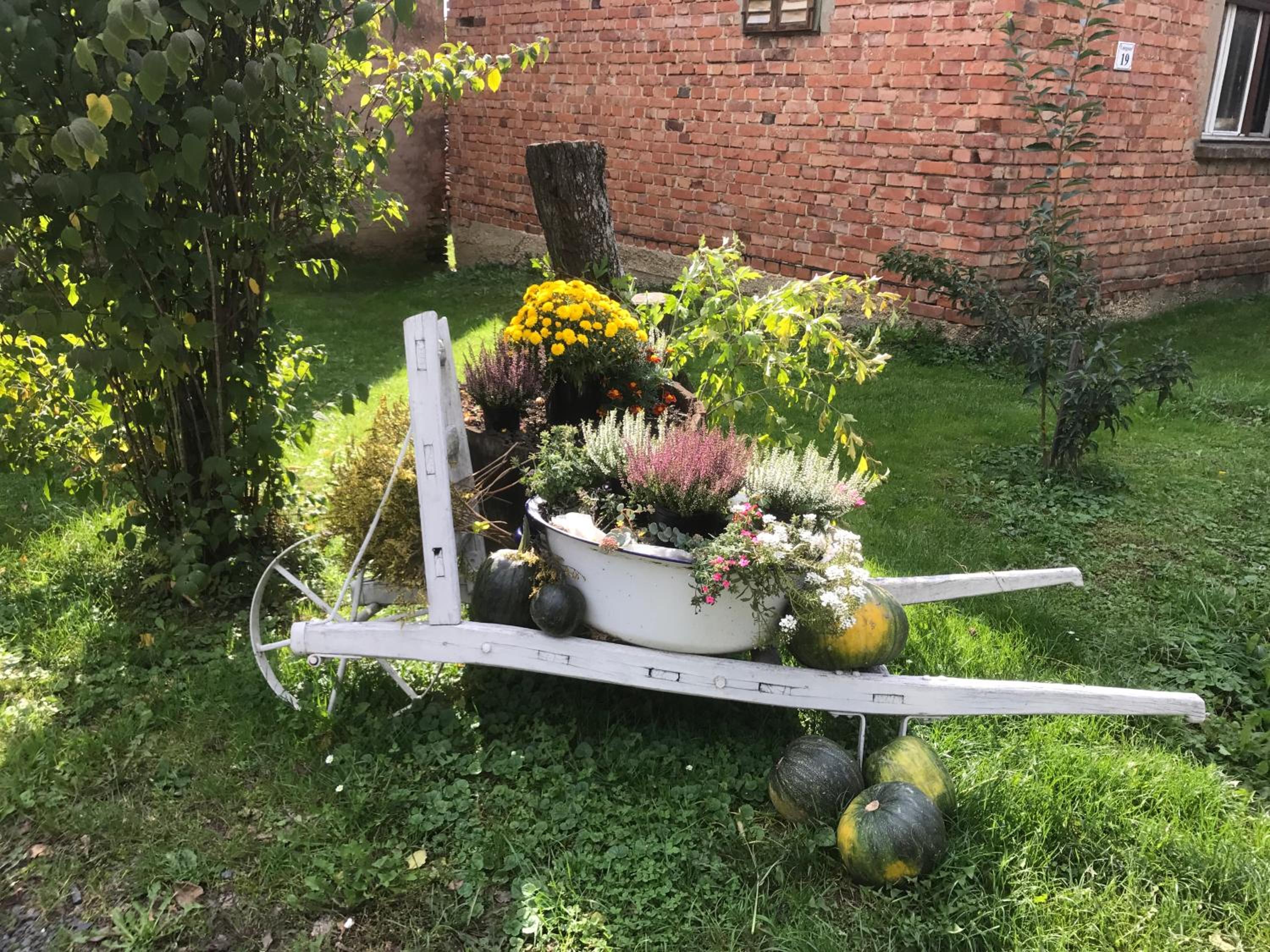 Photo 37