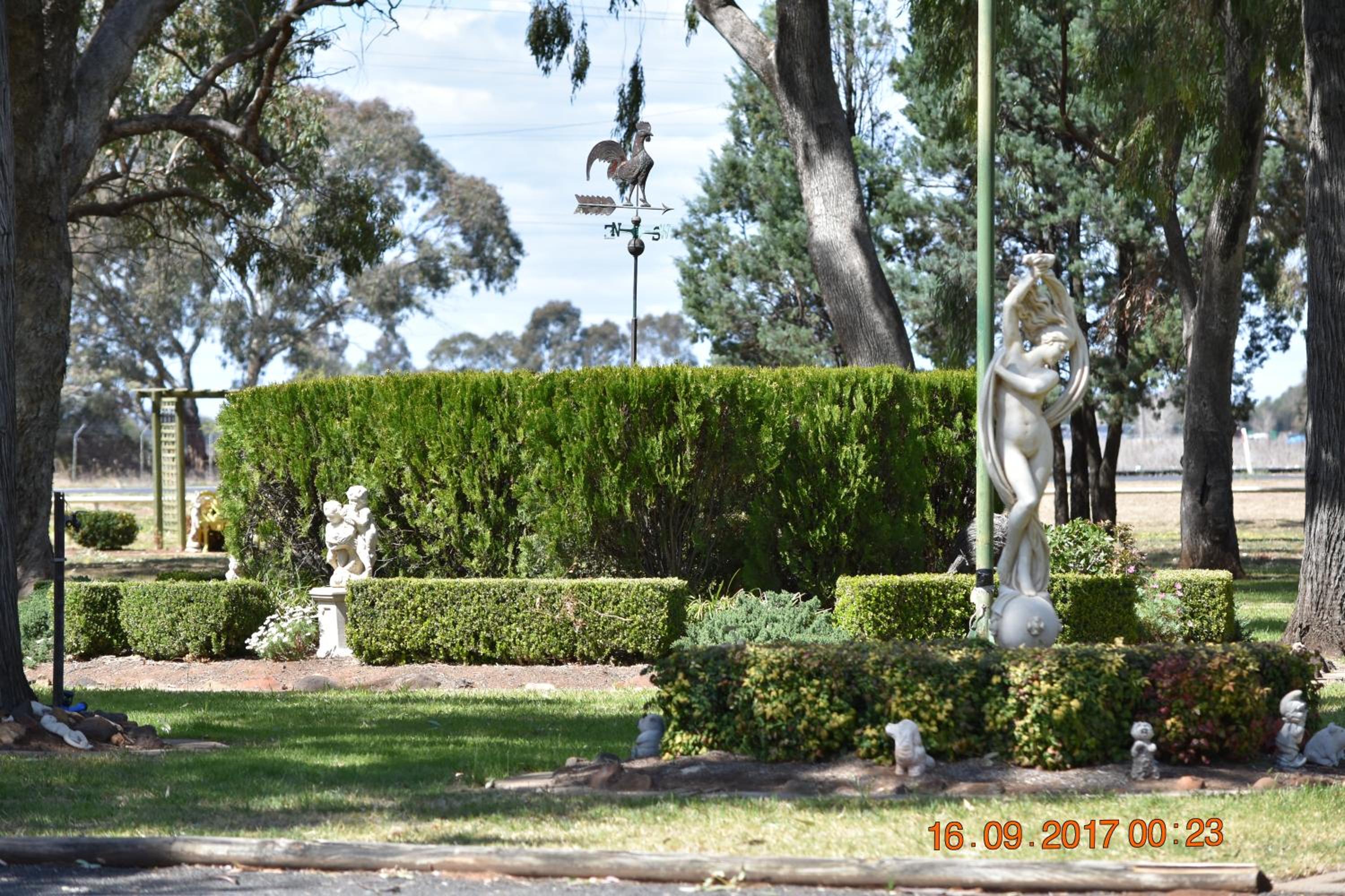 Photo 9