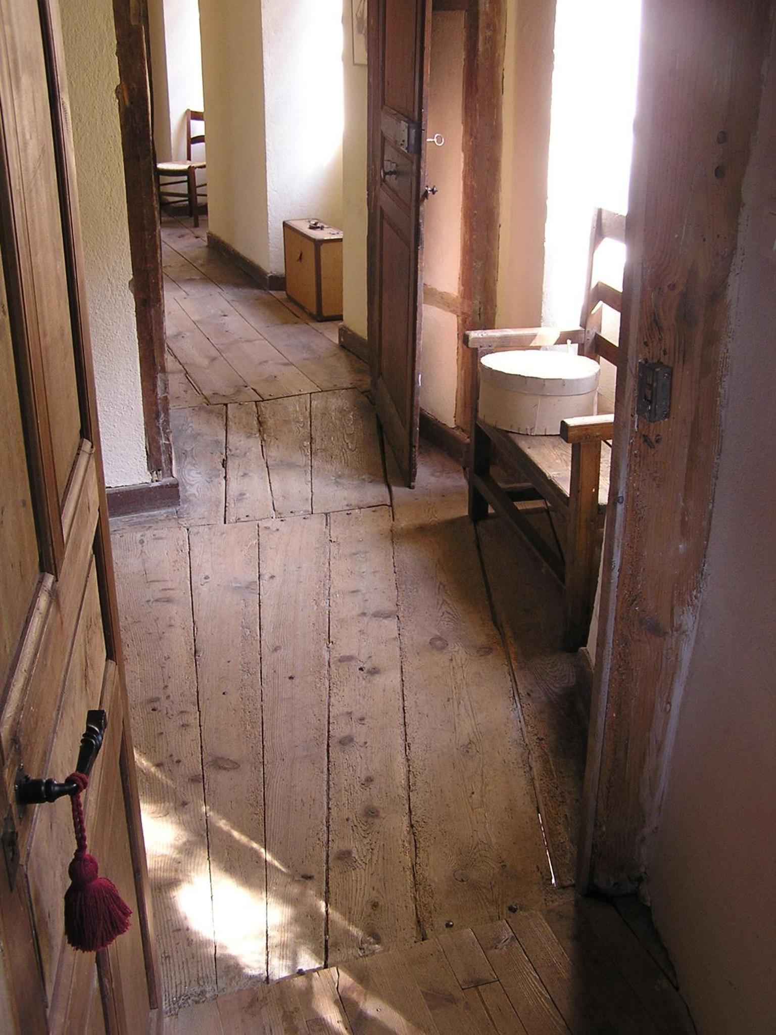 Photo 41