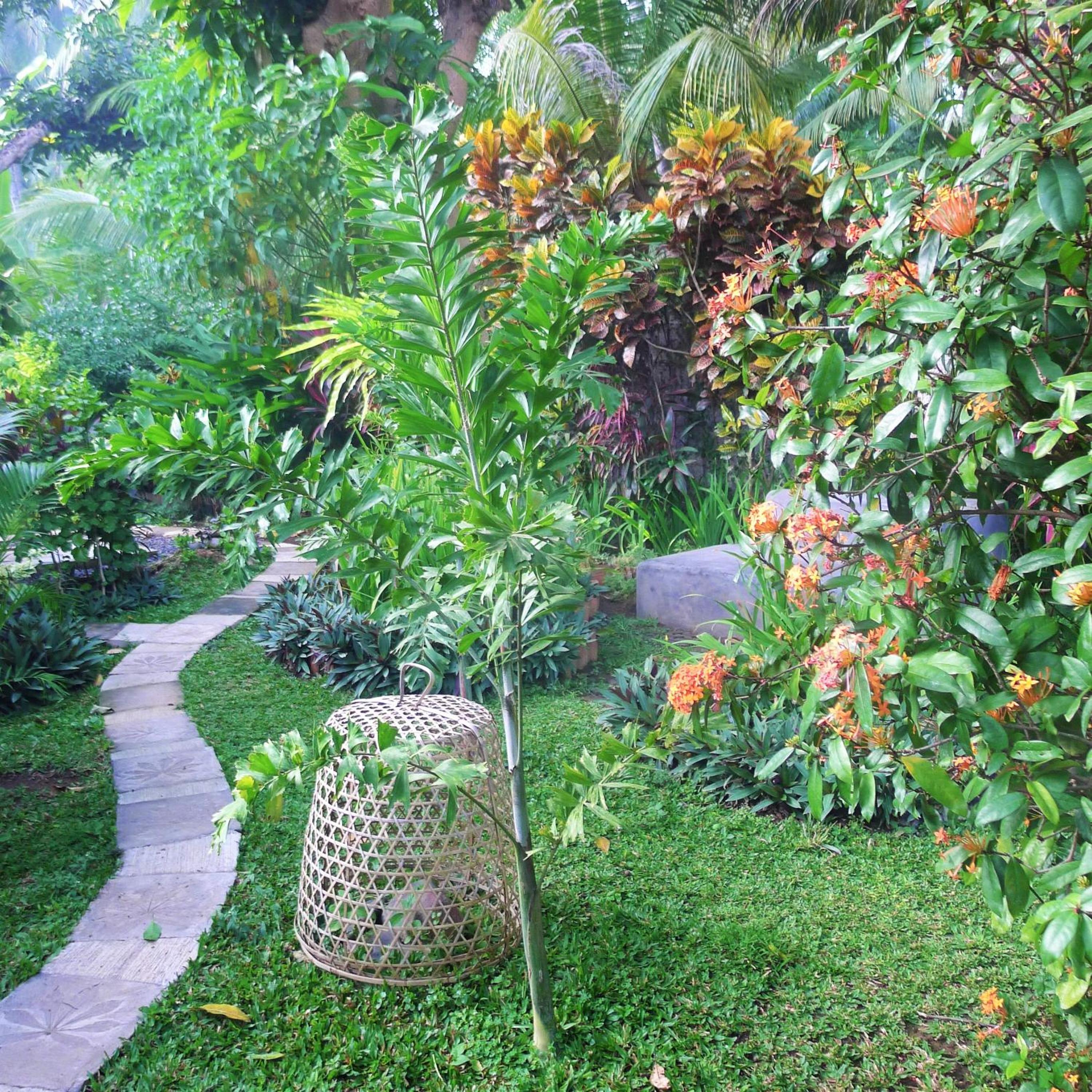 Photo 19