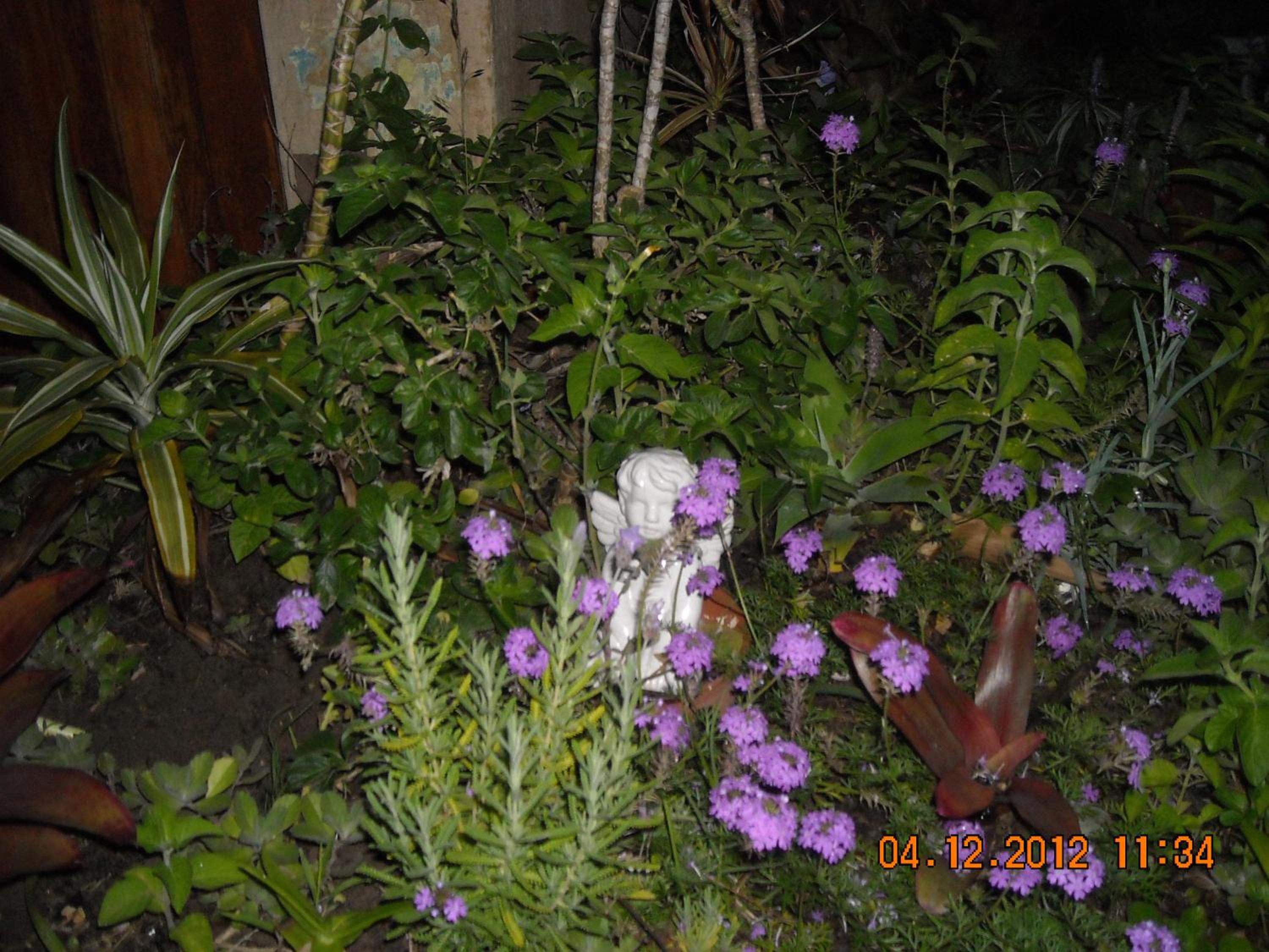 Photo 27
