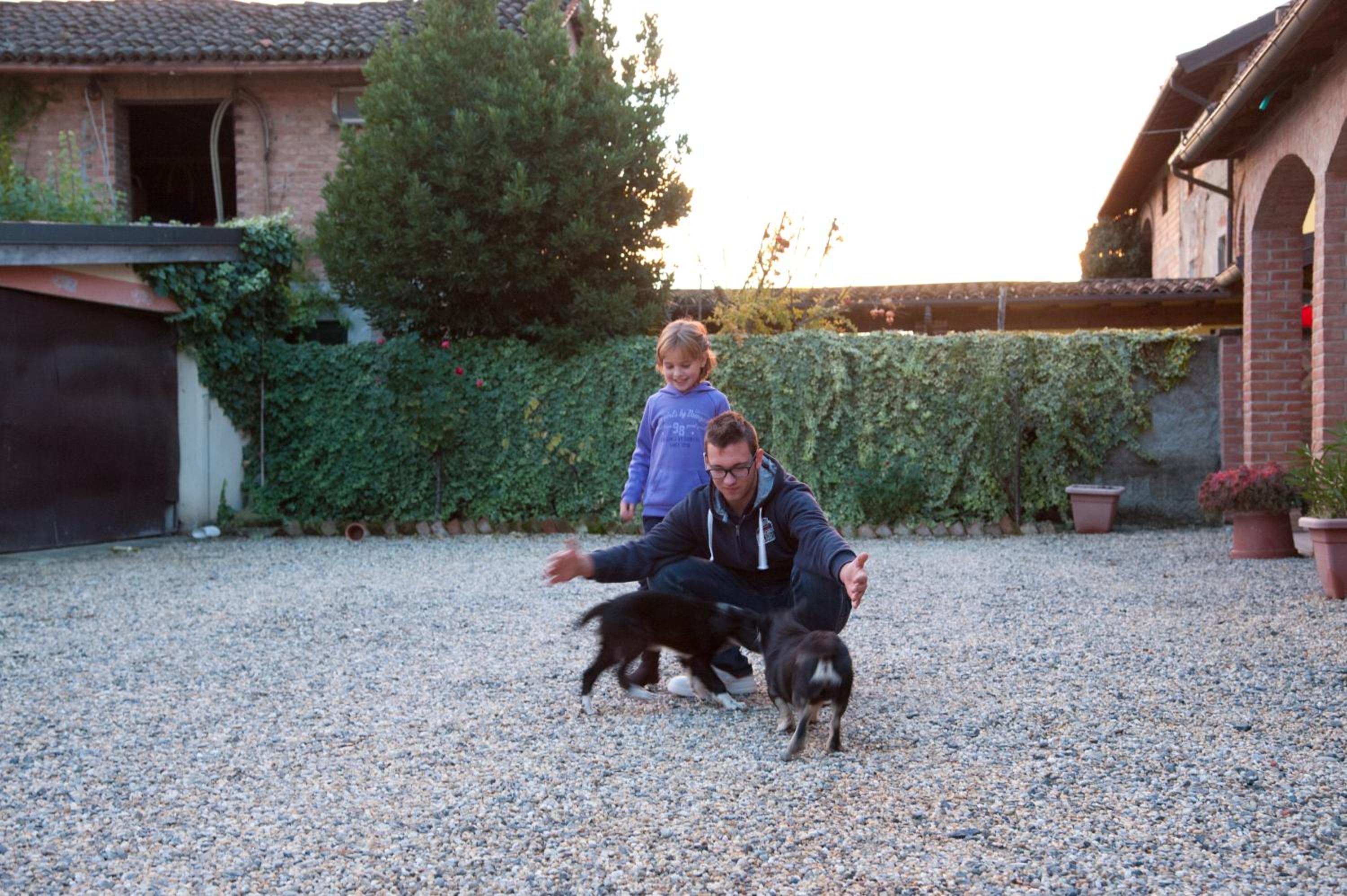 Photo 40