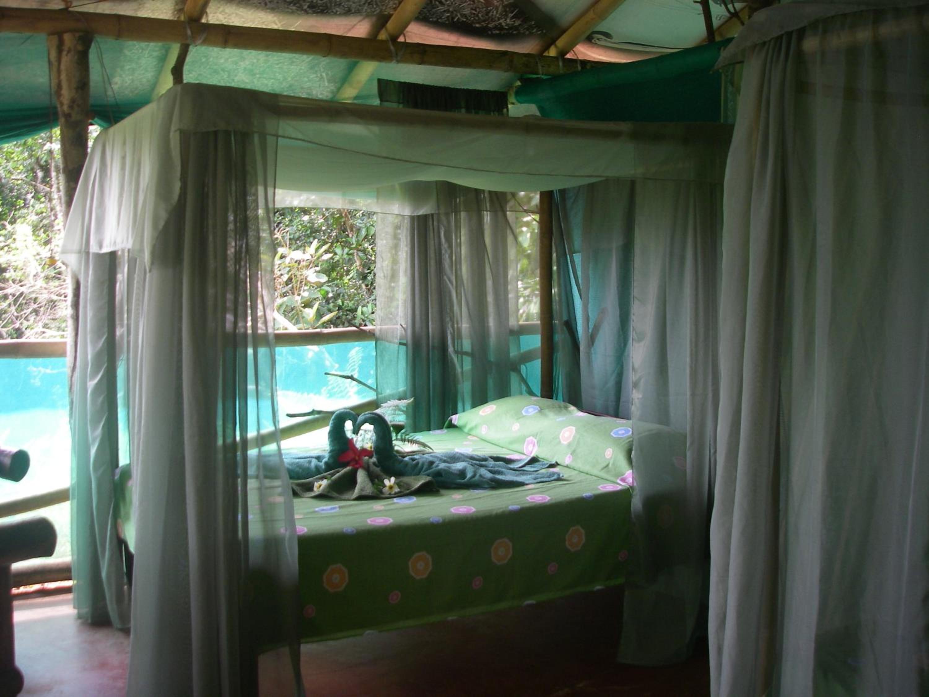 Isla Violin Eco-Lodge
