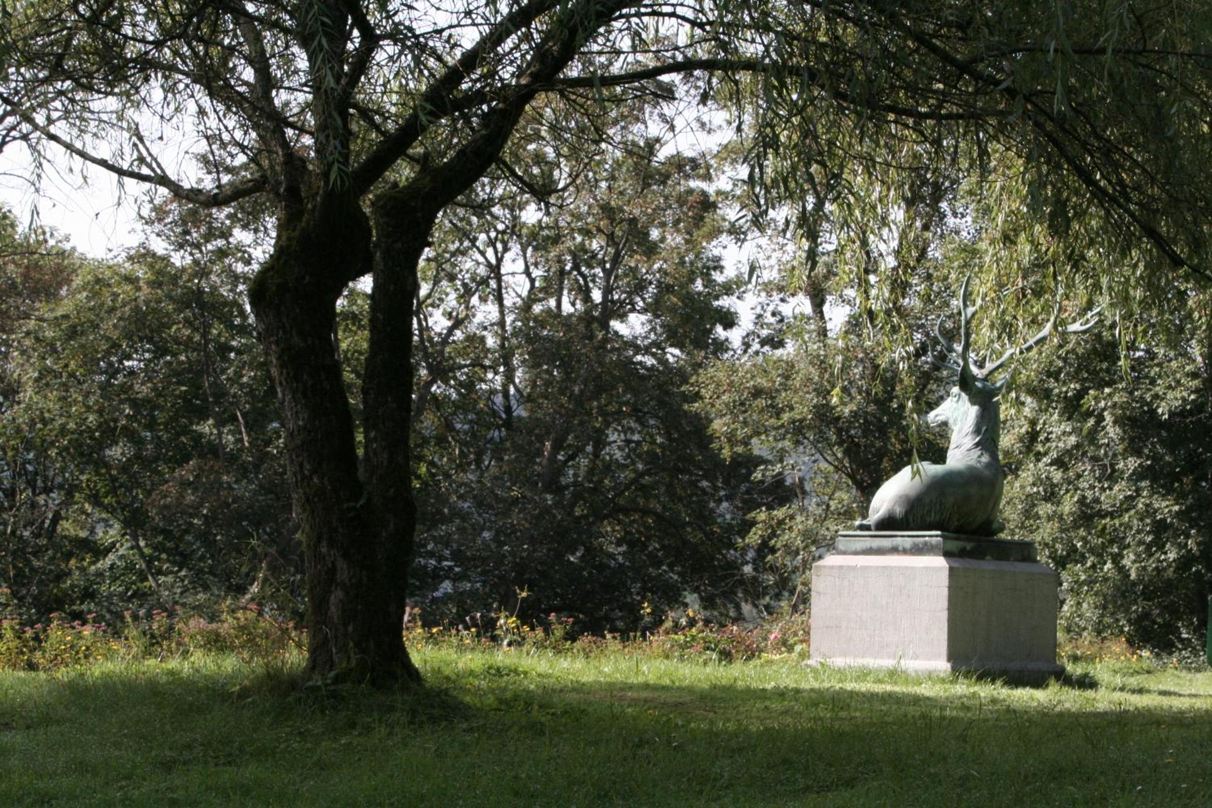 Schloß Wittgenstein, photo 22