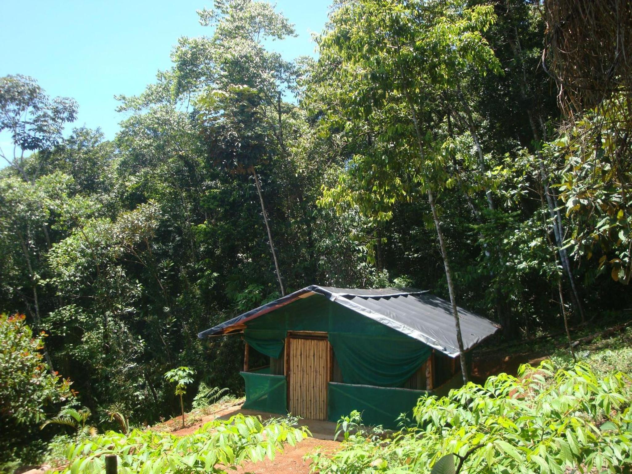 Isla Violin Eco-Lodge