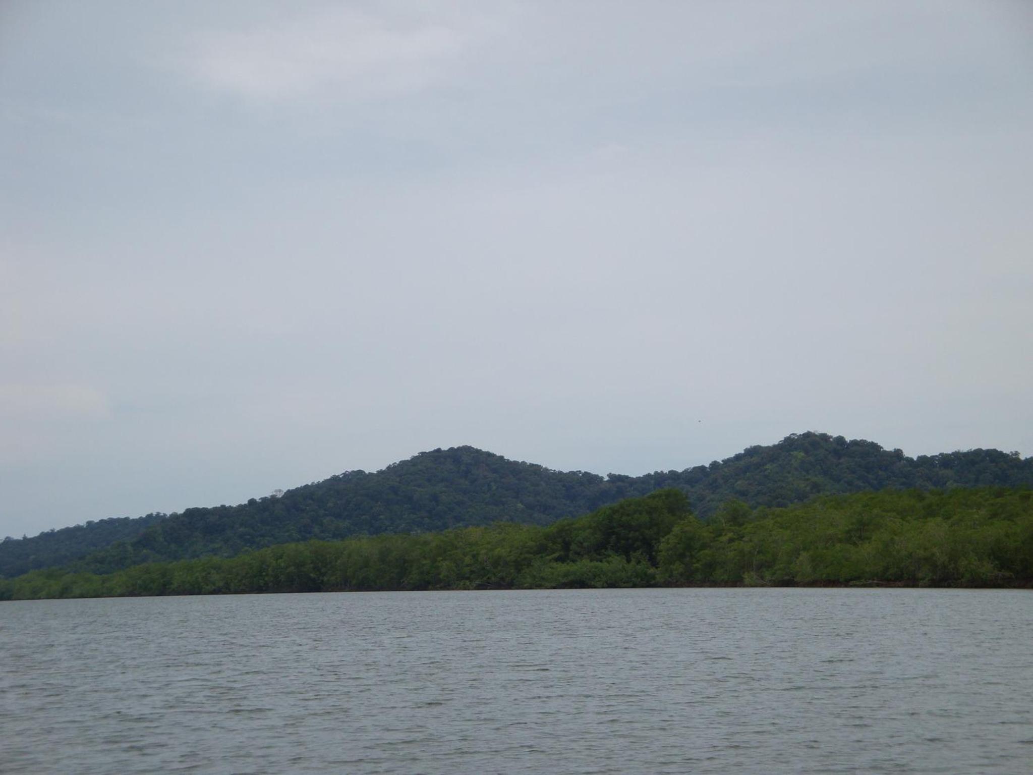Isla Violin Eco-Lodge