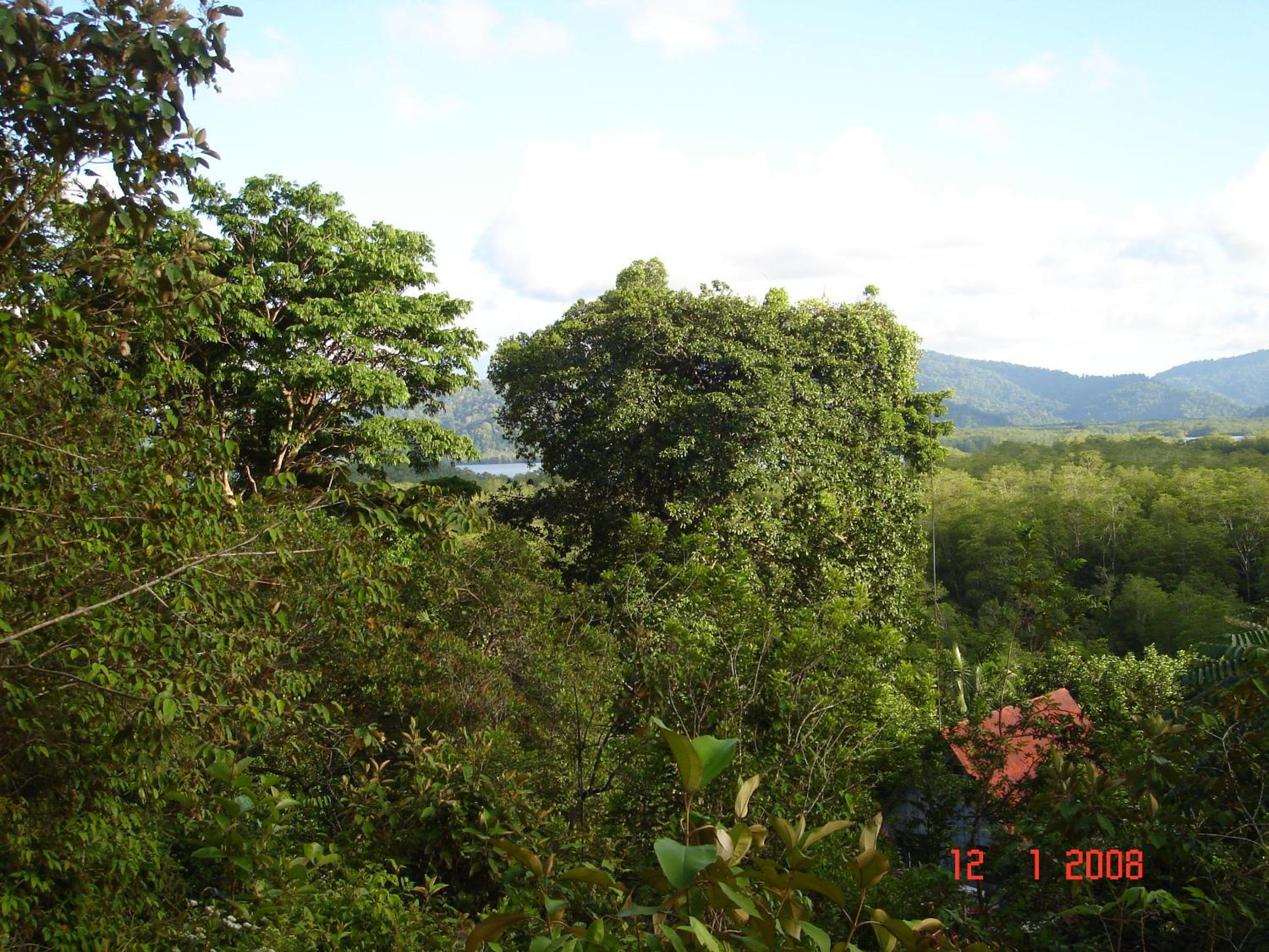 Isla Violin Eco-Lodge