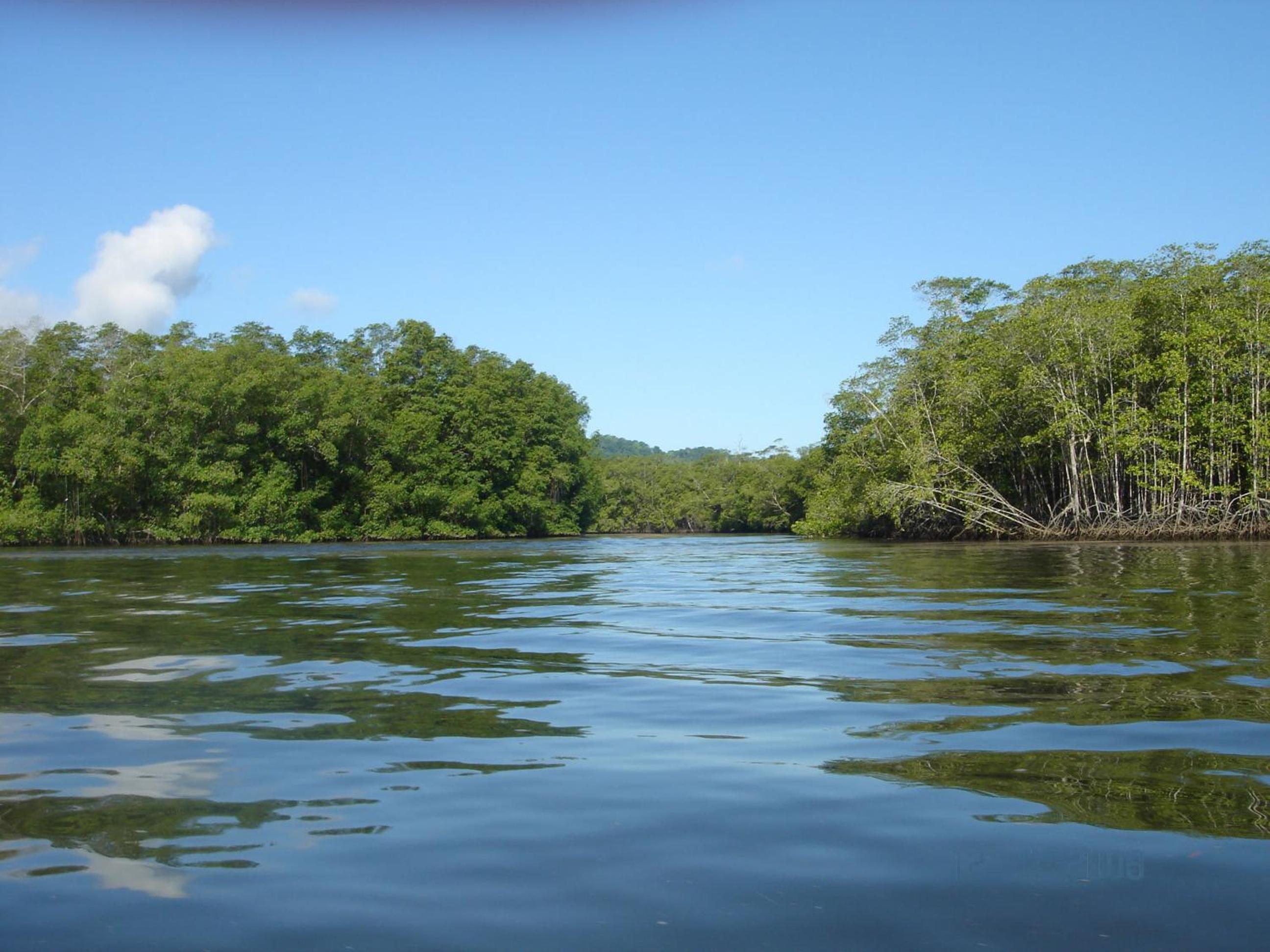Isla Violin Eco-Lodge