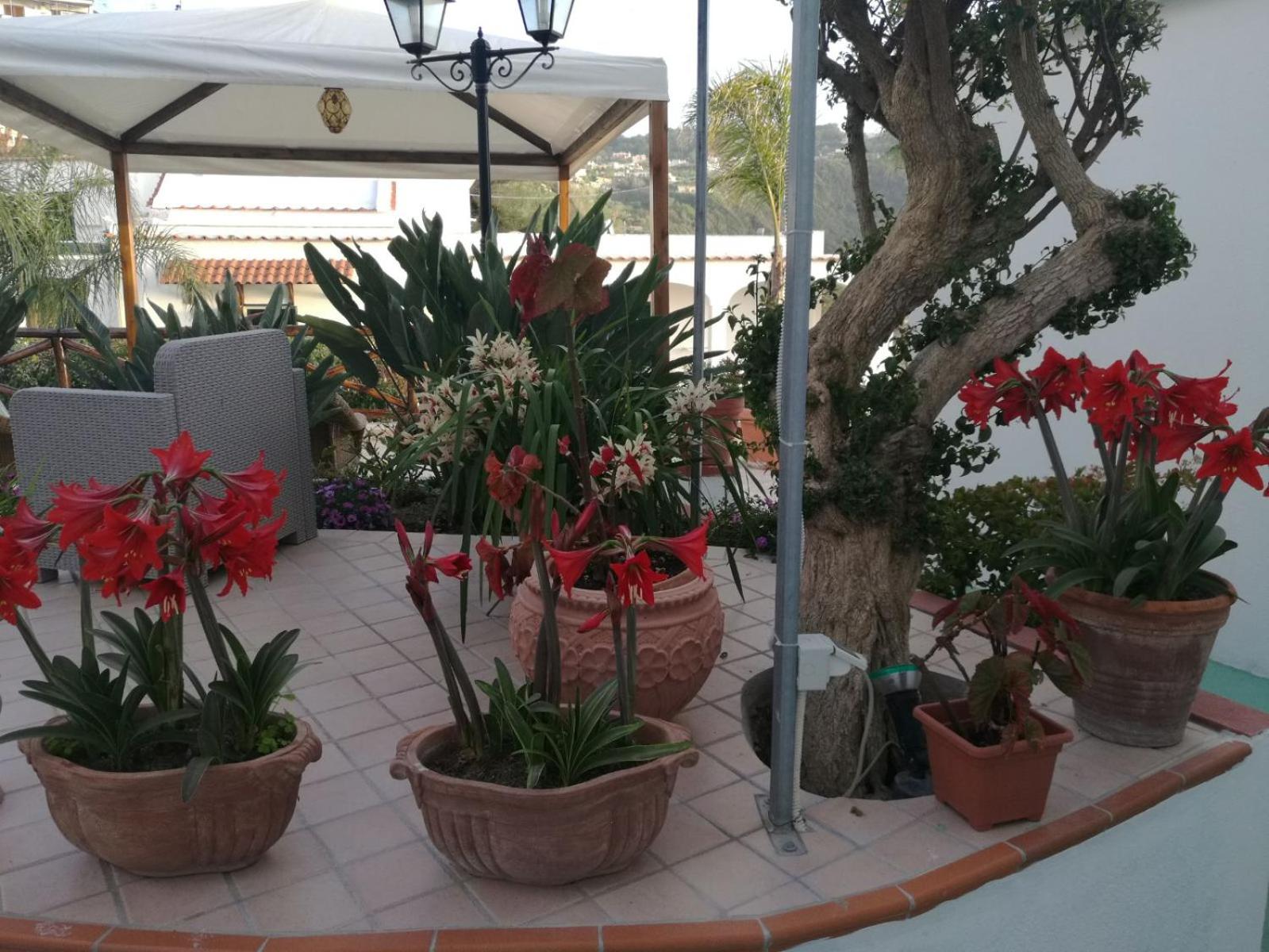 Villa Loreta