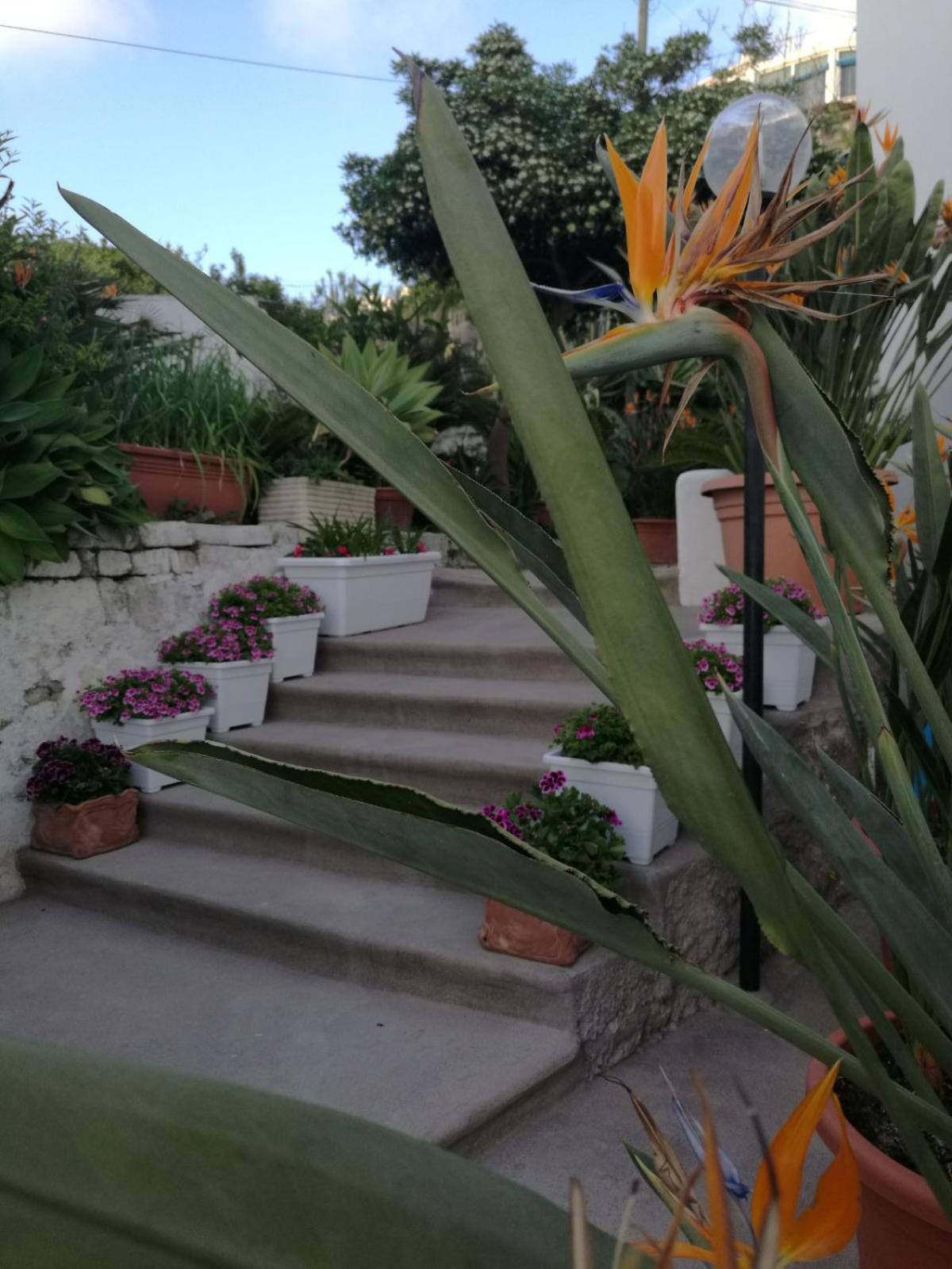 Villa Loreta