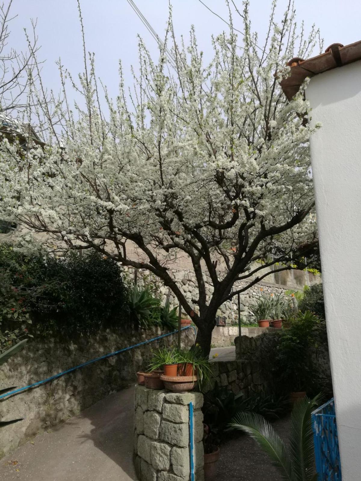 Villa Loreta