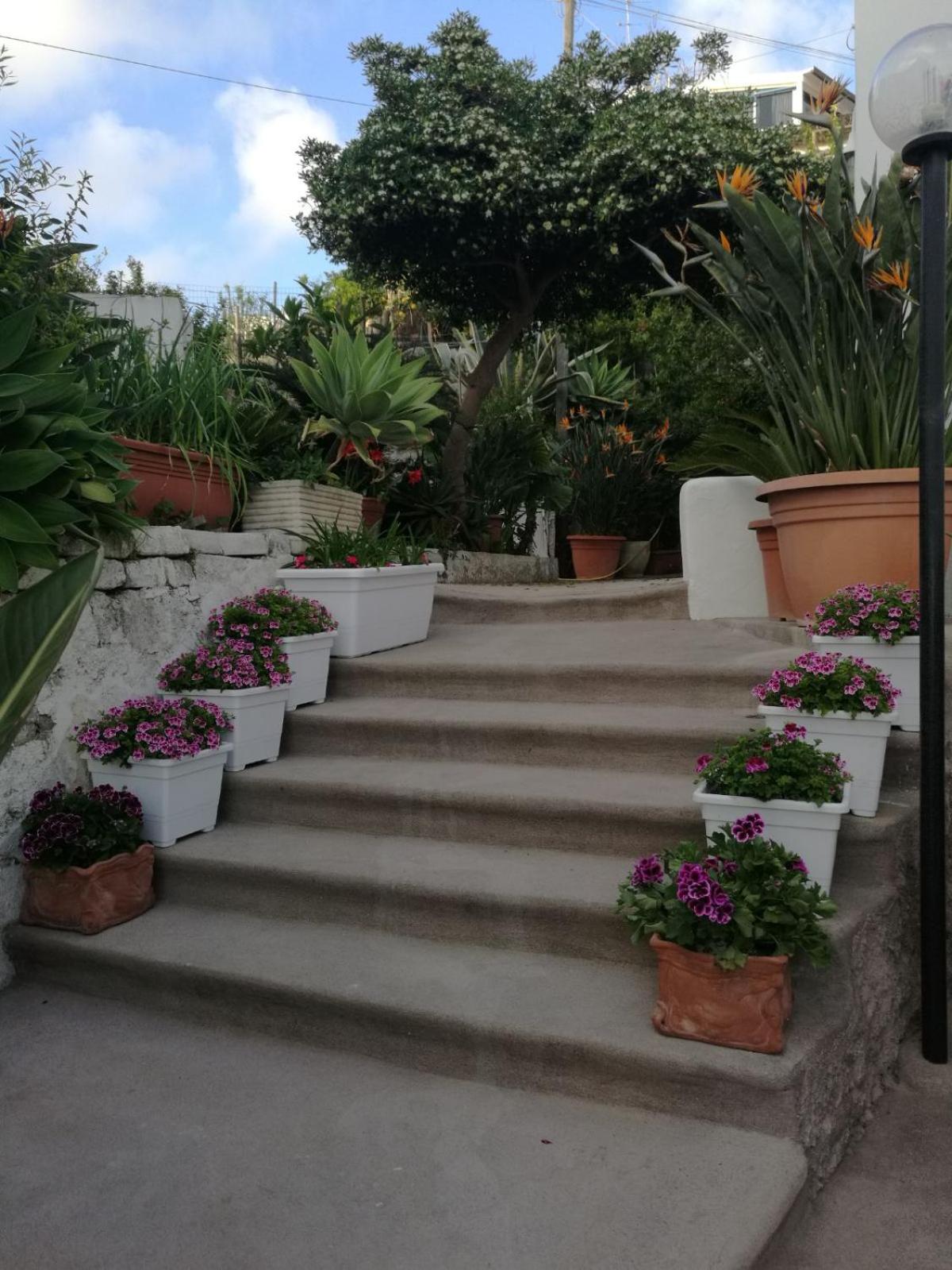 Villa Loreta