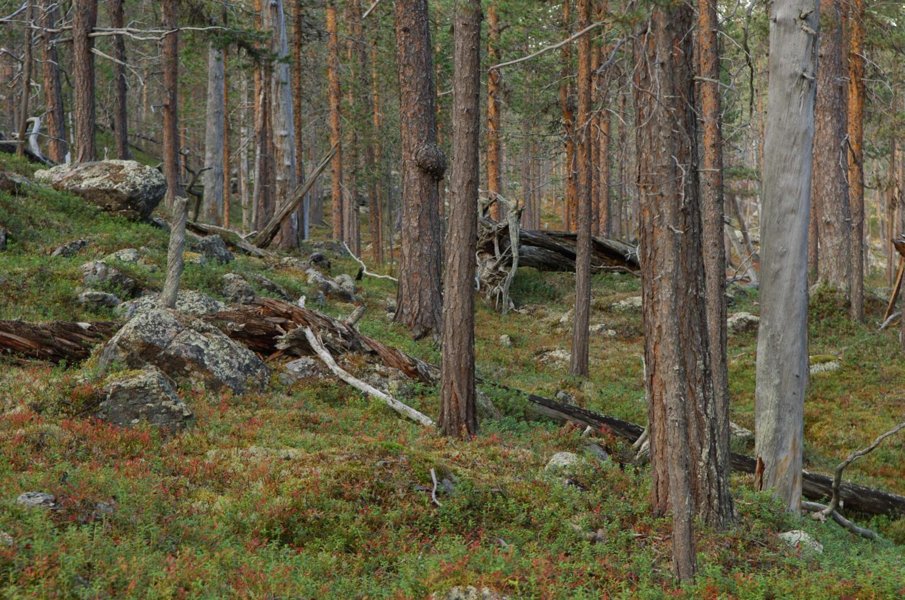 Photo 7