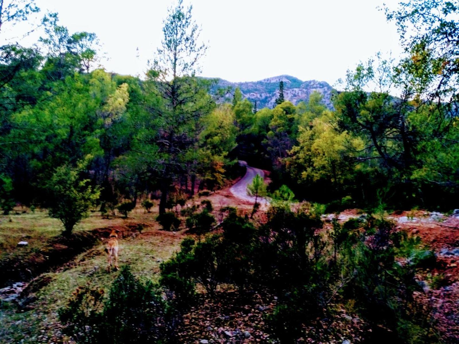 Photo 32