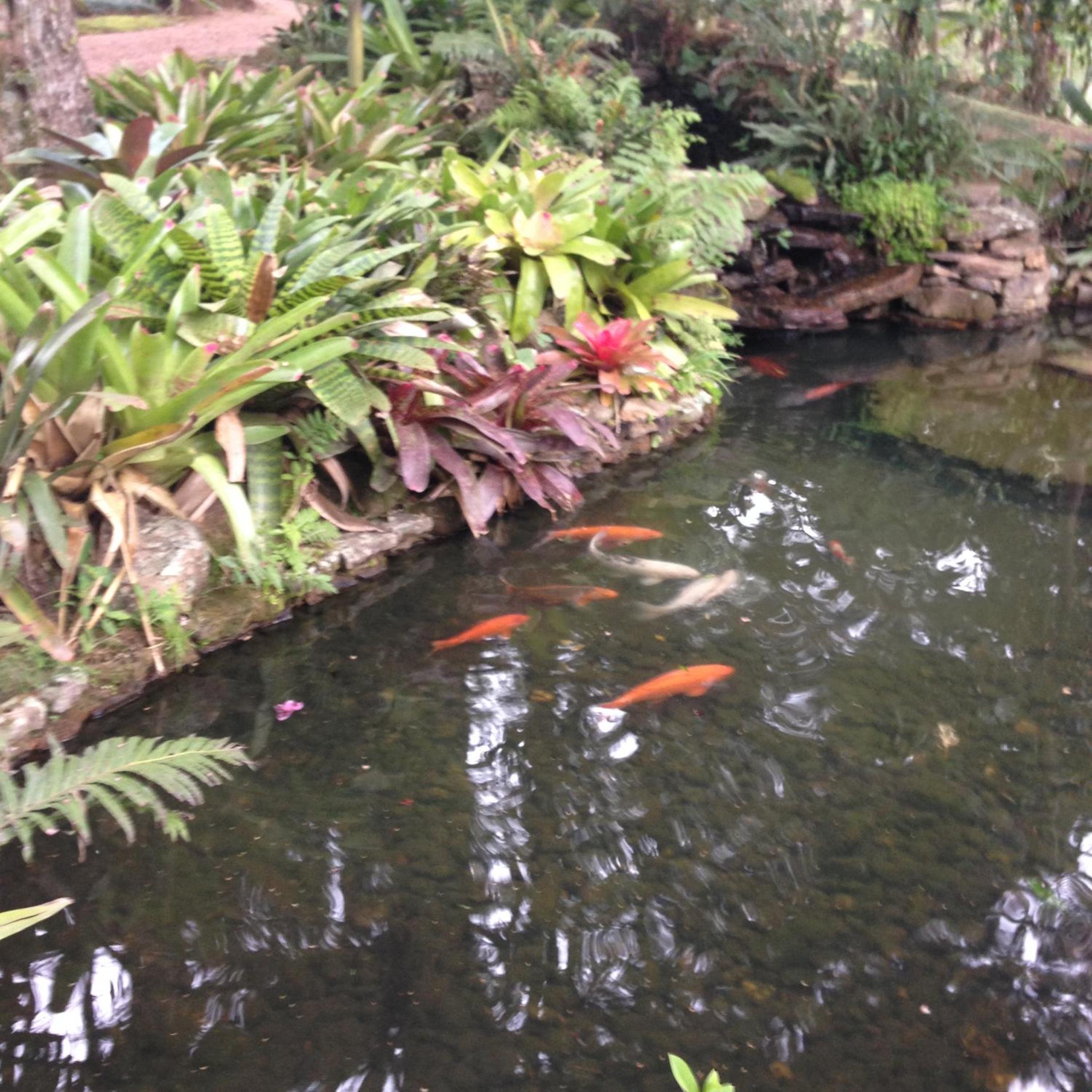 Refúgio da natureza