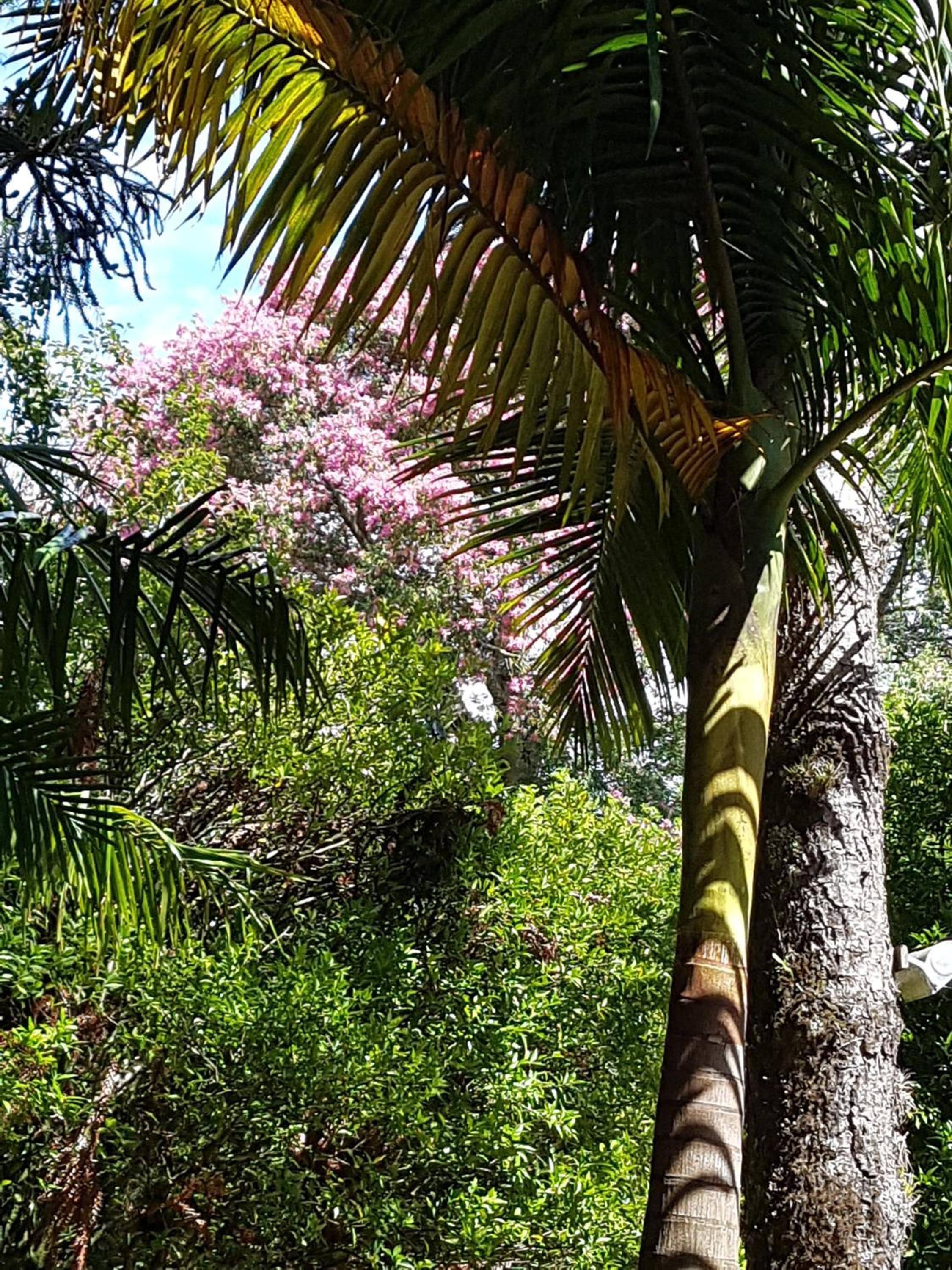 Refúgio da natureza
