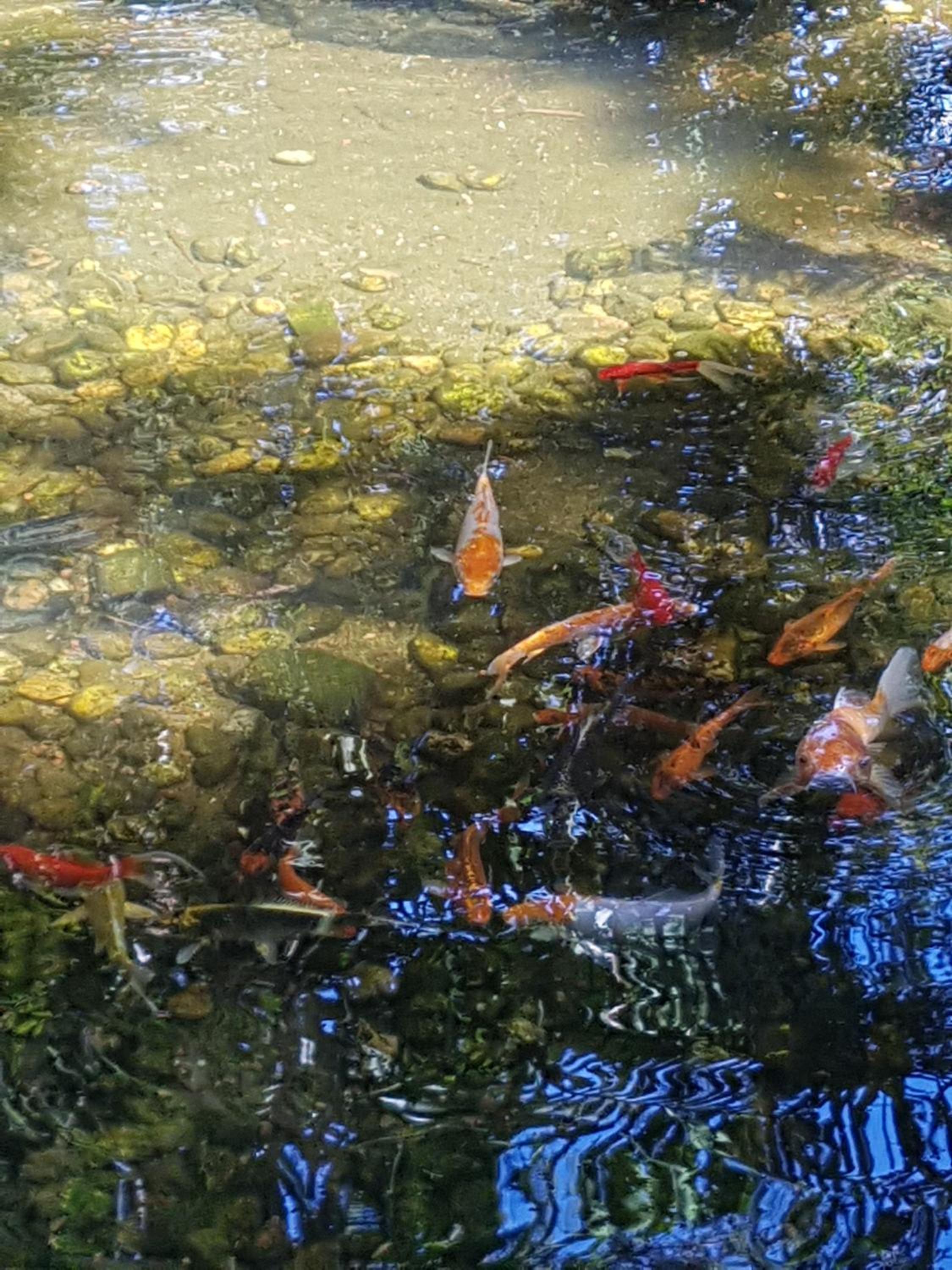Refúgio da natureza