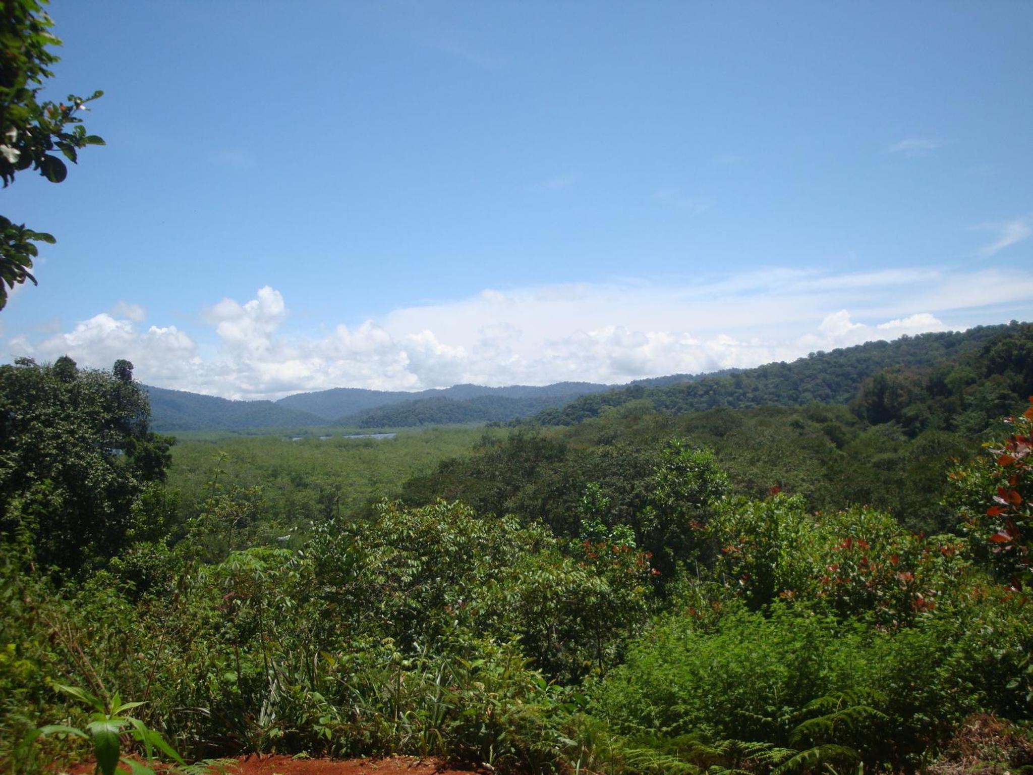 Isla Violin Eco-Lodge