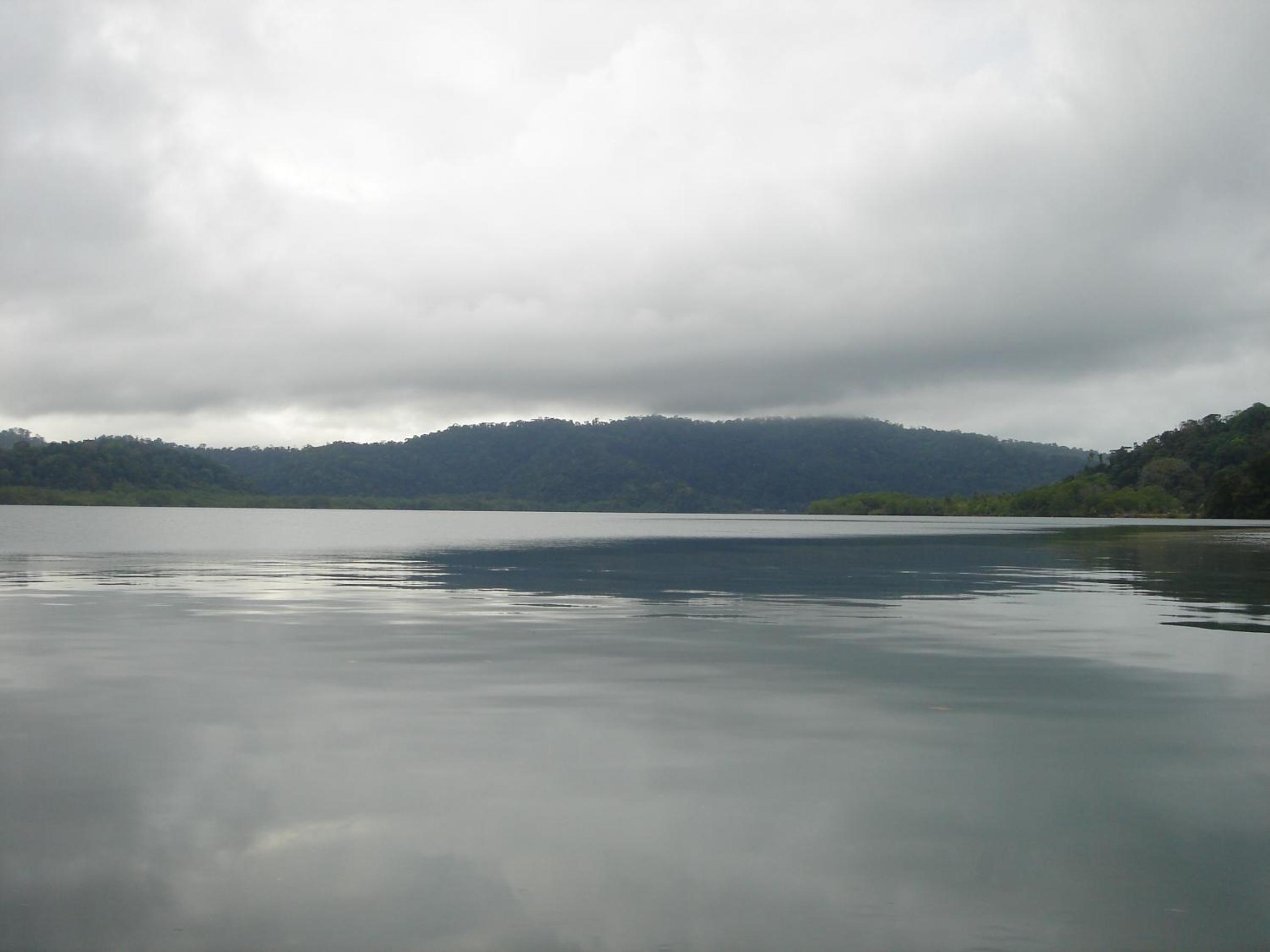 Isla Violin Eco-Lodge