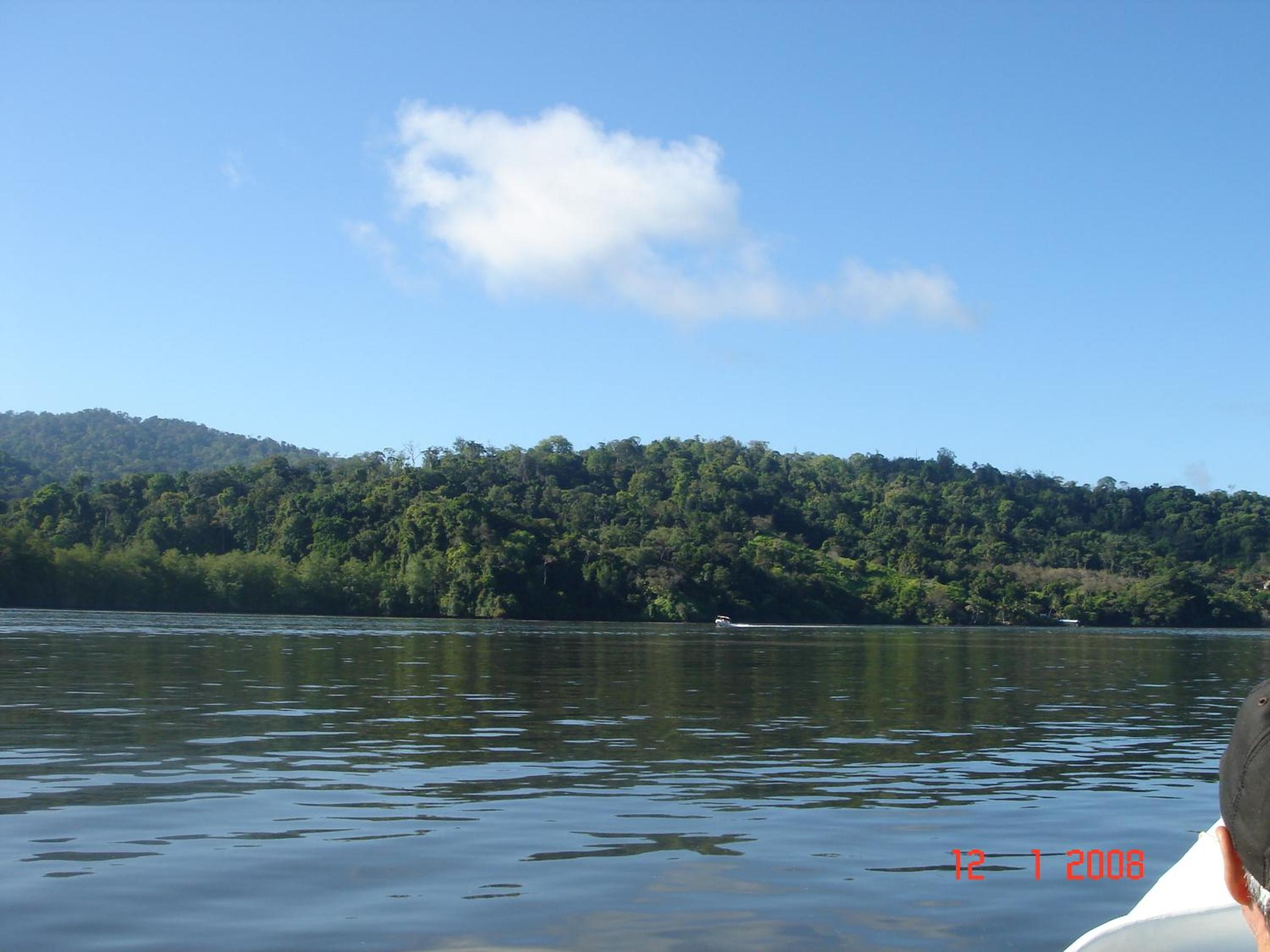 Isla Violin Eco-Lodge